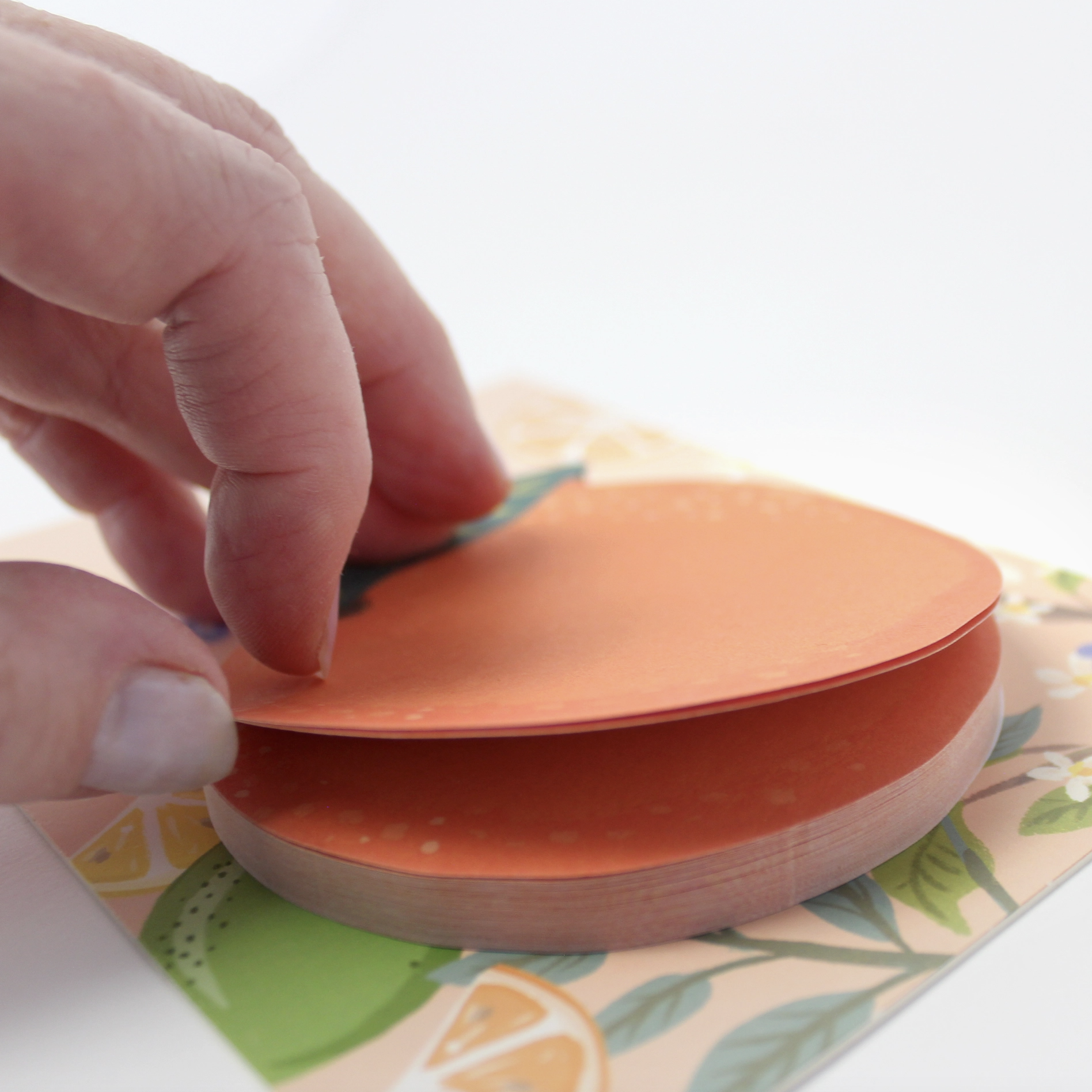 Screenshot 2026-02-11 at 1.33.21 PM.png