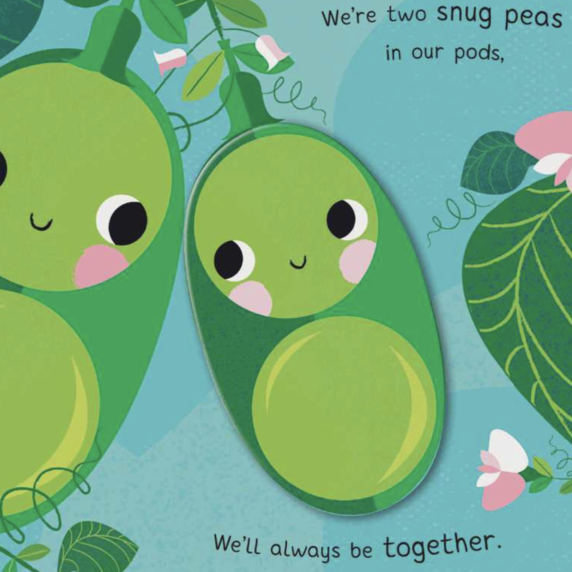 Screenshot 2026-01-27 at 12.12.59 PM.png