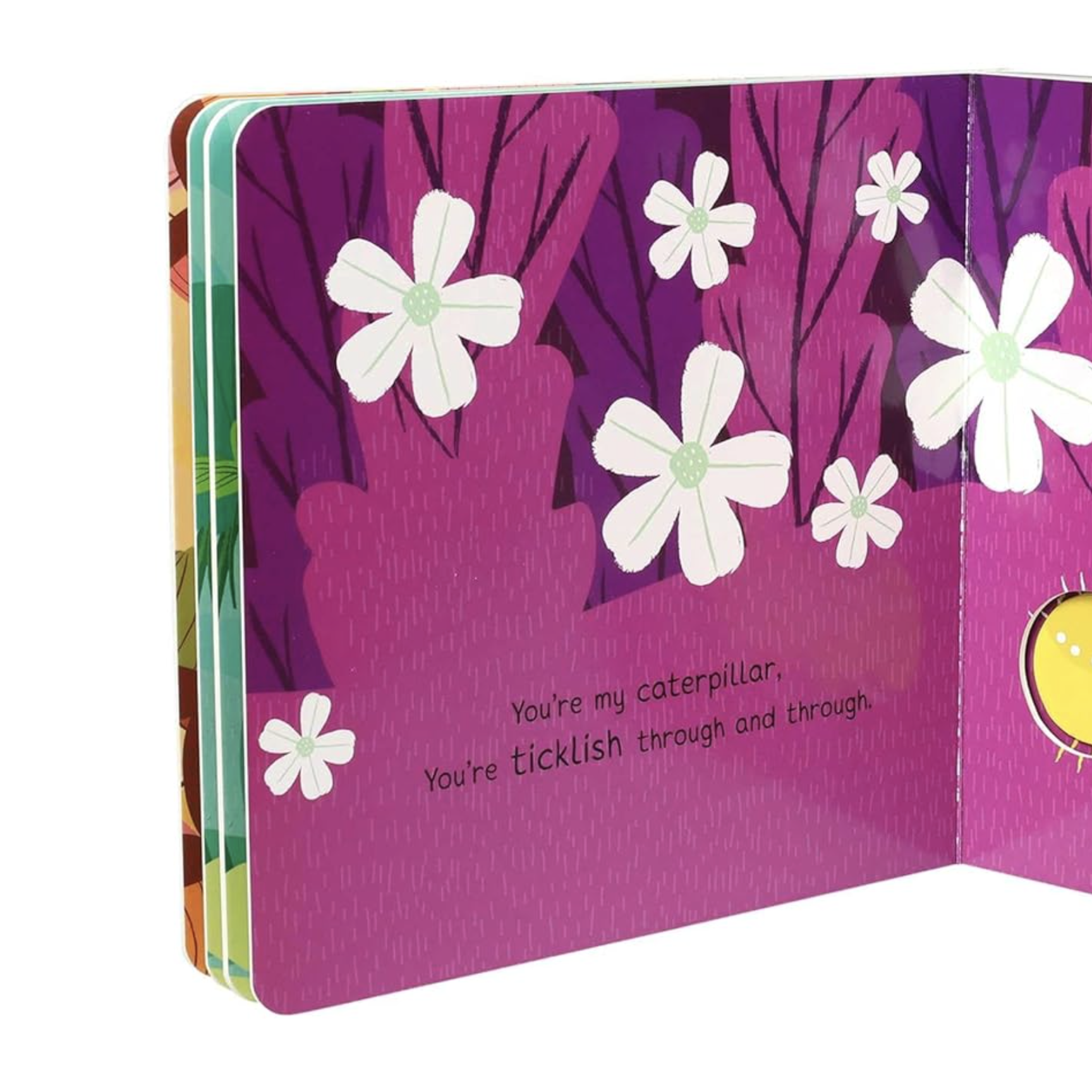 Screenshot 2026-01-27 at 12.09.56 PM.png