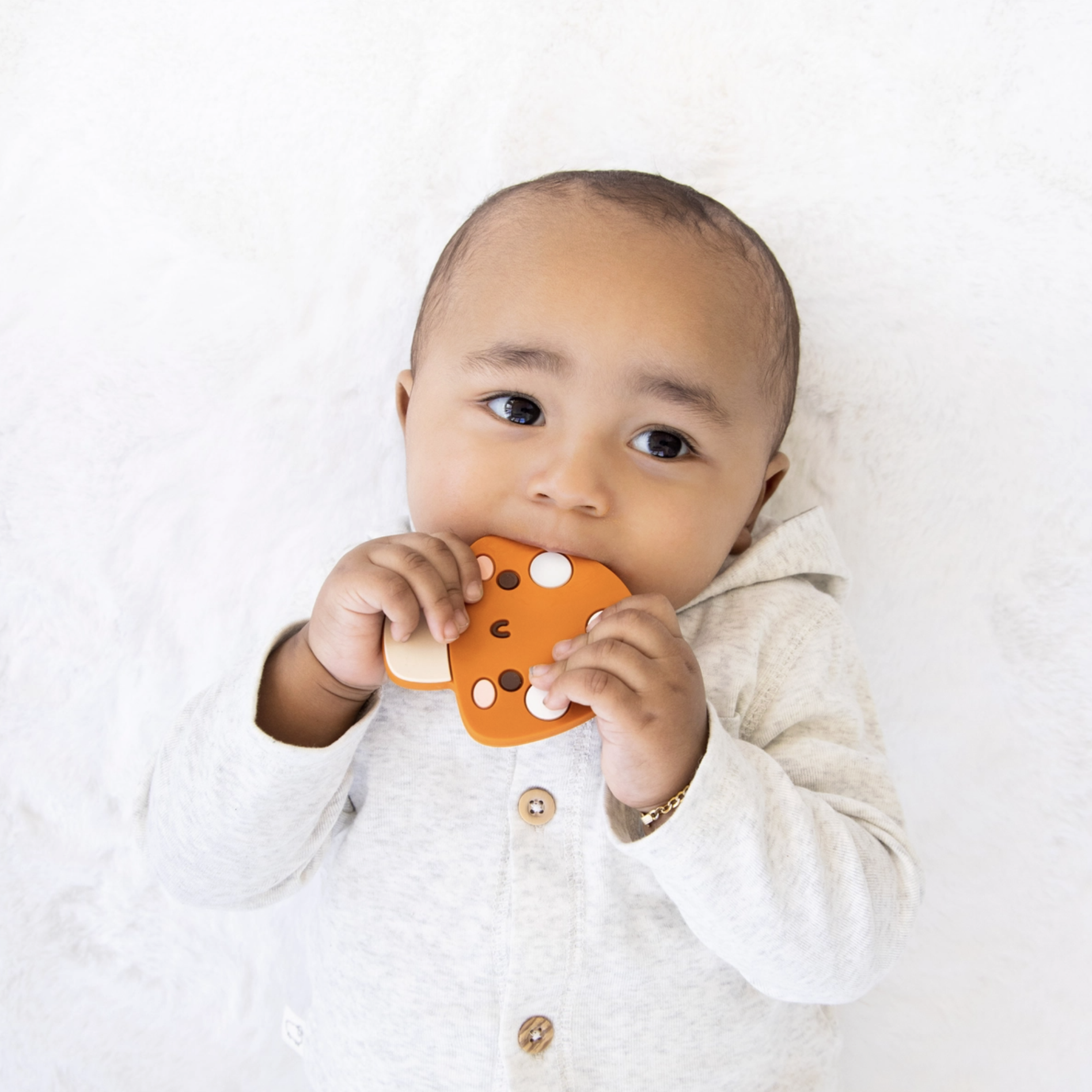 Screenshot 2026-02-11 at 2.17.37 PM.png