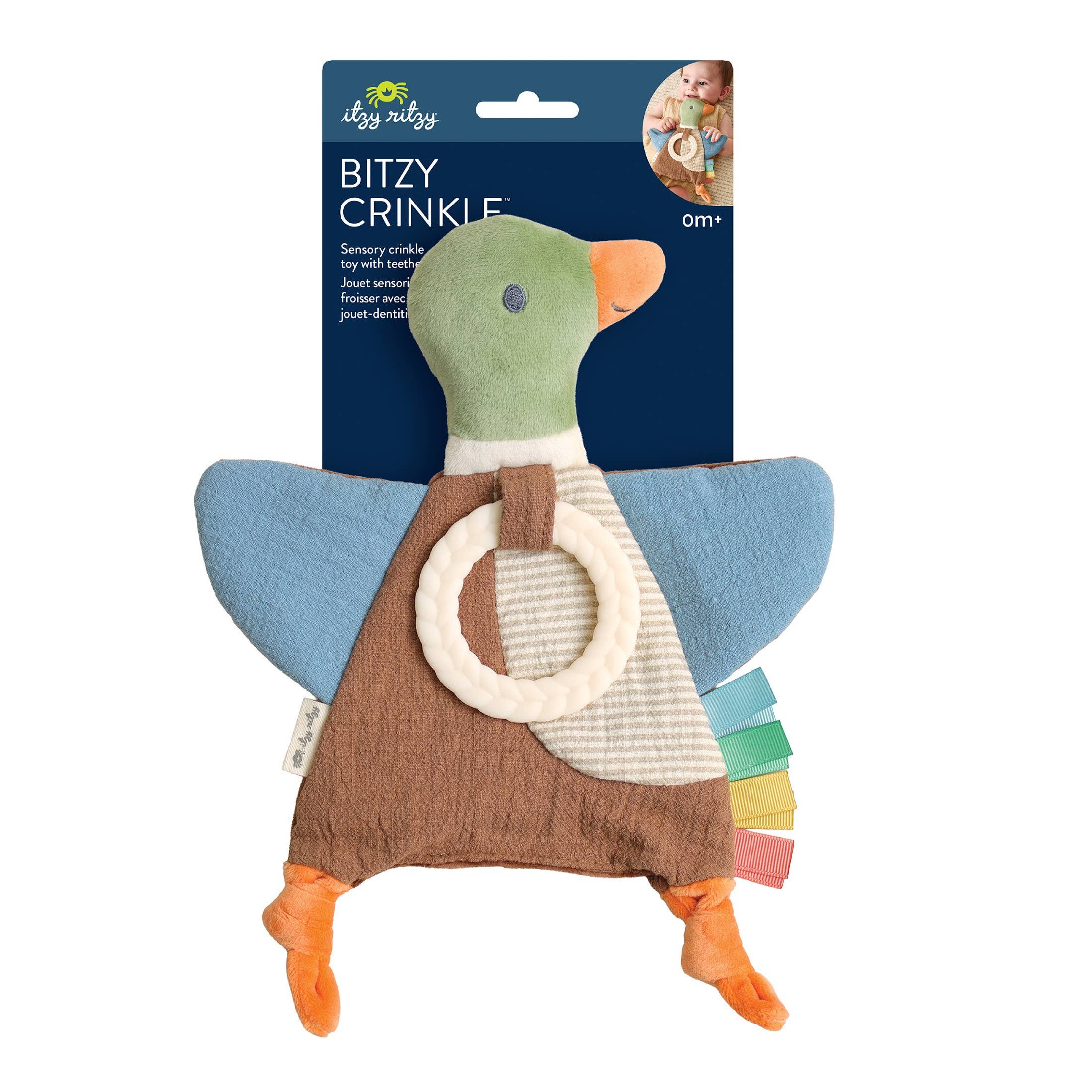 new-mallard-duck-bitzy-crinkle-9.jpg