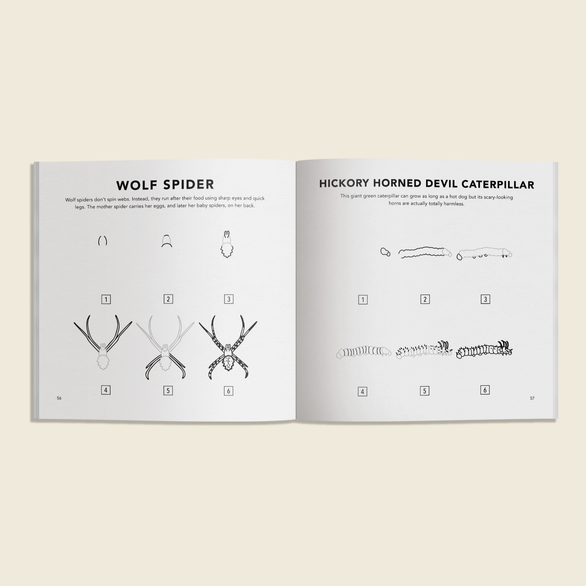 Screenshot 2026-02-04 at 11.33.40 AM.png