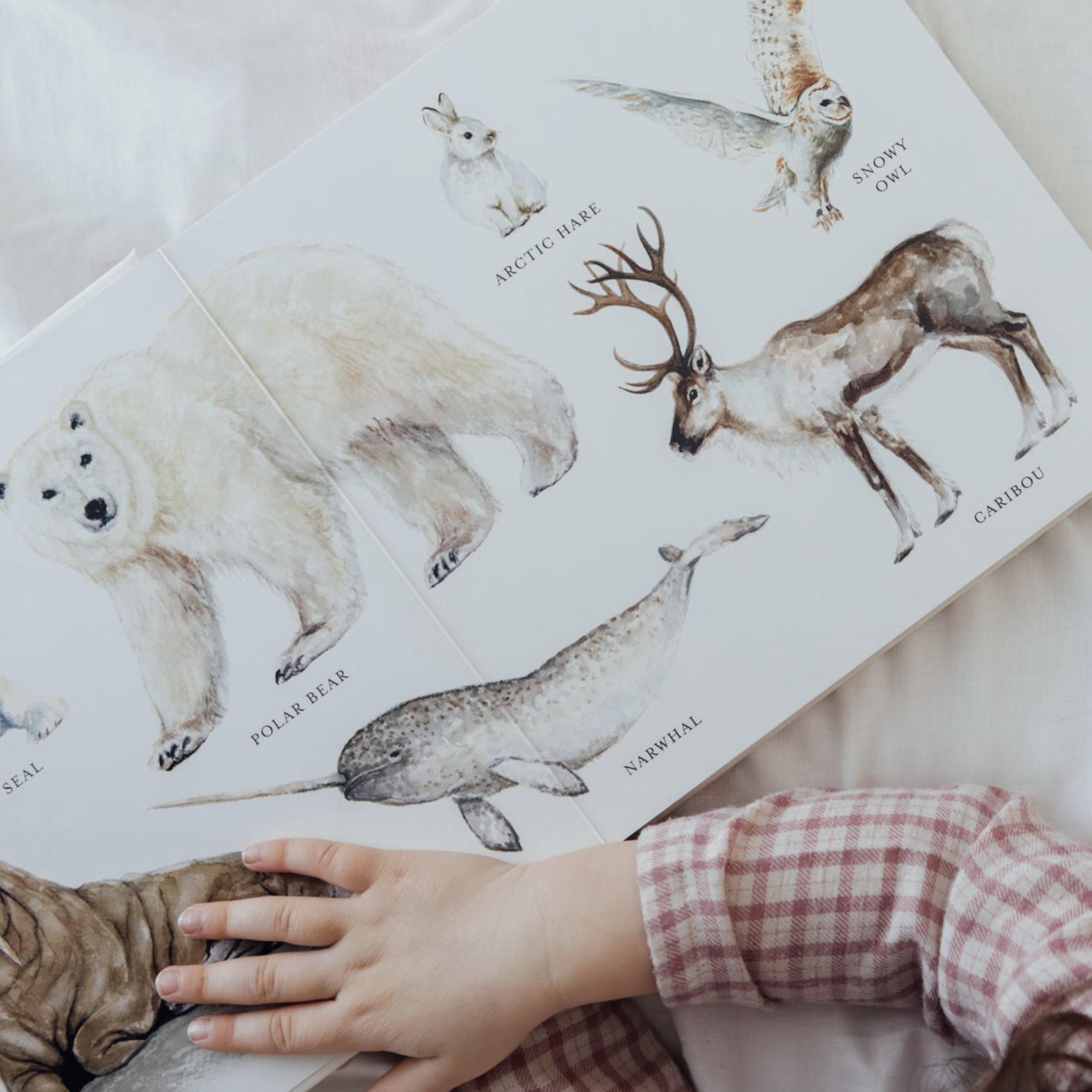 Screenshot 2026-03-25 at 10.45.48 AM.png