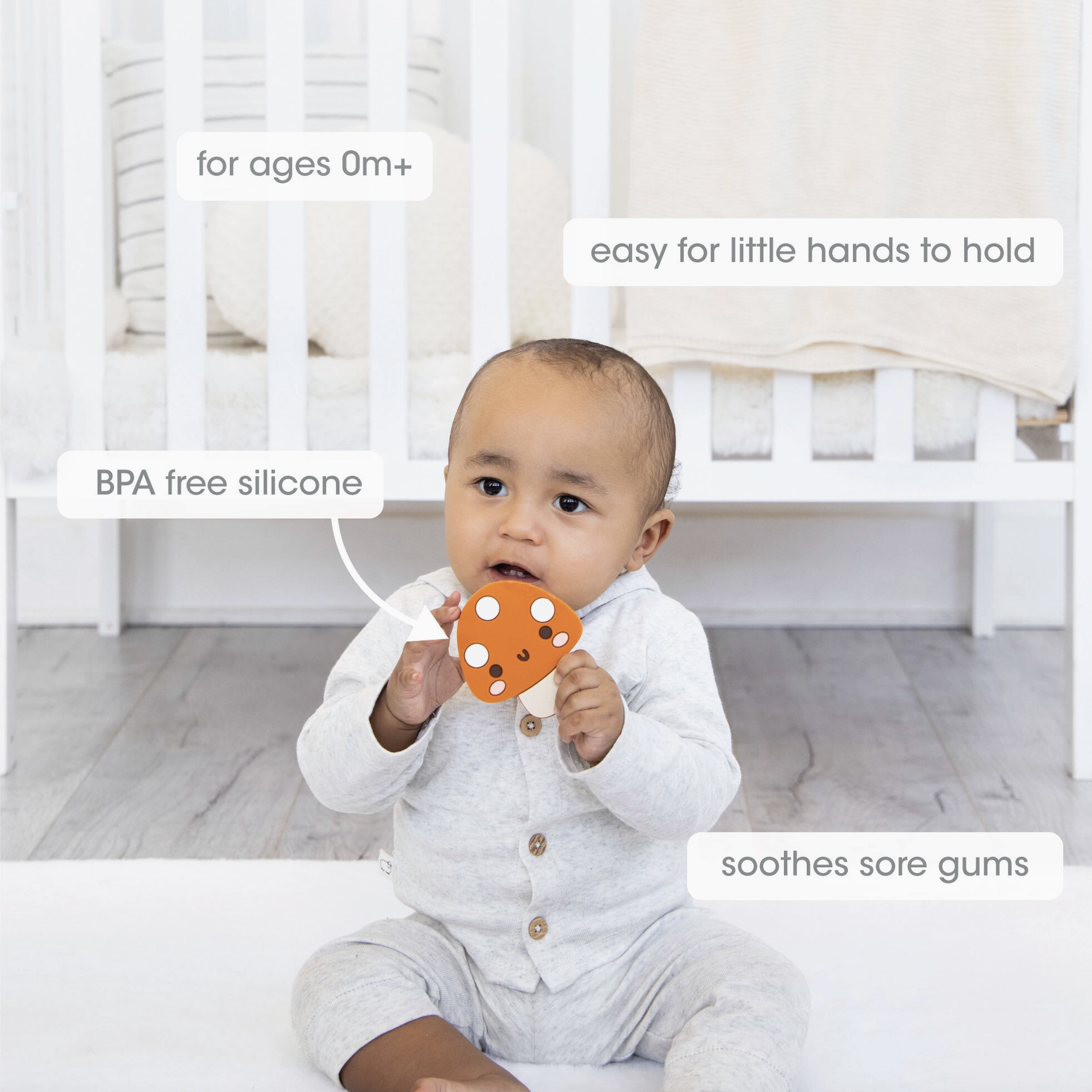 Screenshot 2026-02-11 at 2.17.16 PM.png