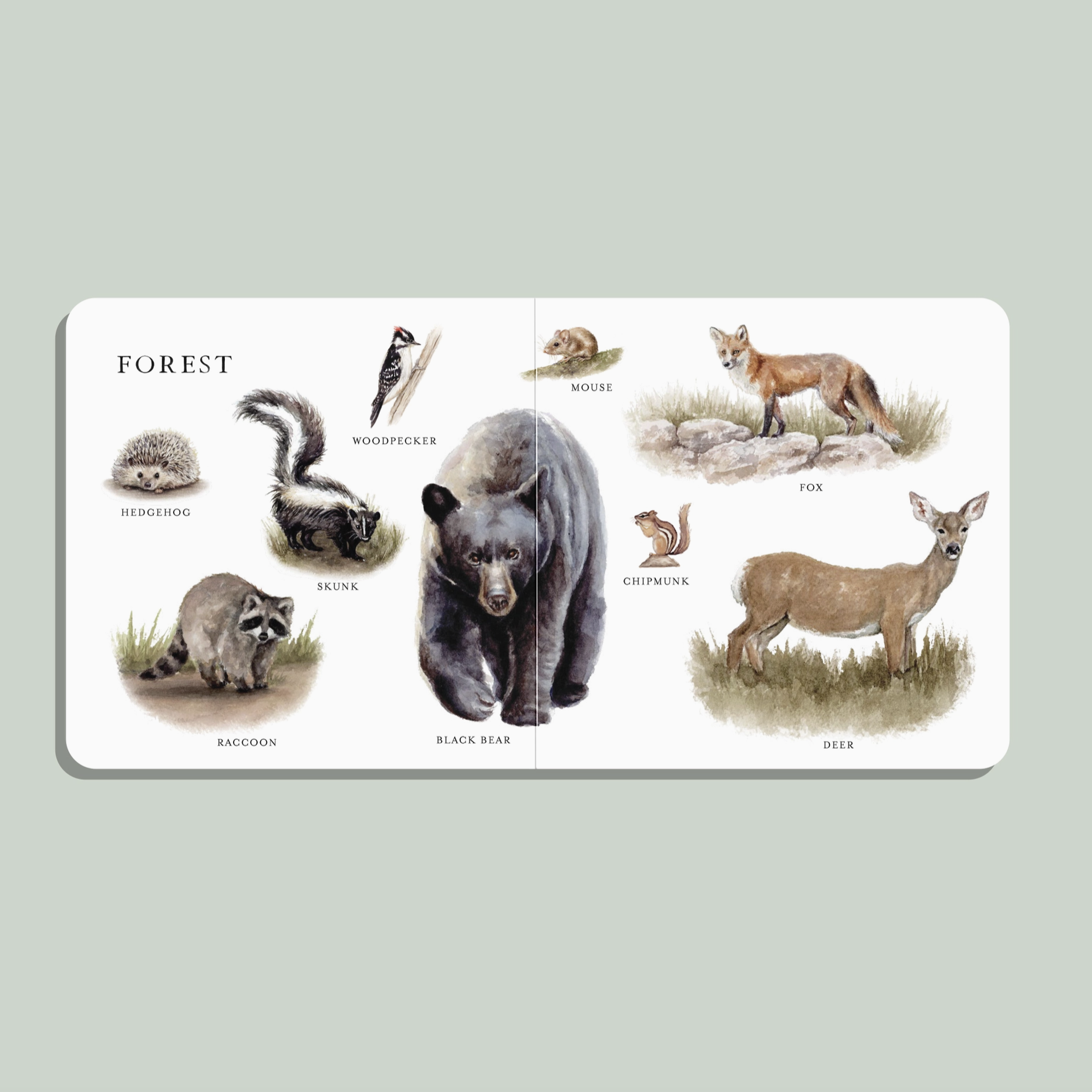 Screenshot 2026-03-25 at 10.45.55 AM.png