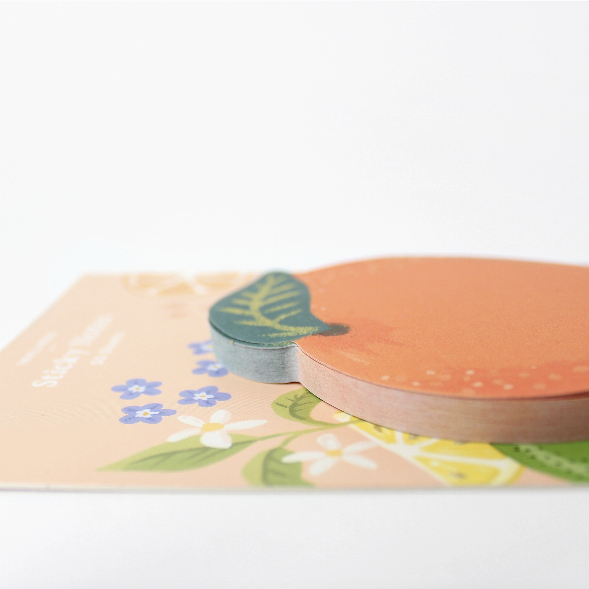 Screenshot 2026-02-11 at 1.33.29 PM.png