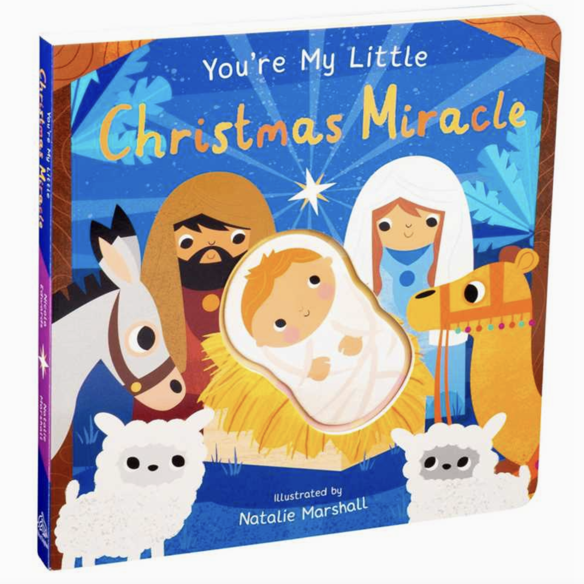 Screenshot 2025-11-20 at 2.24.31 PM.png