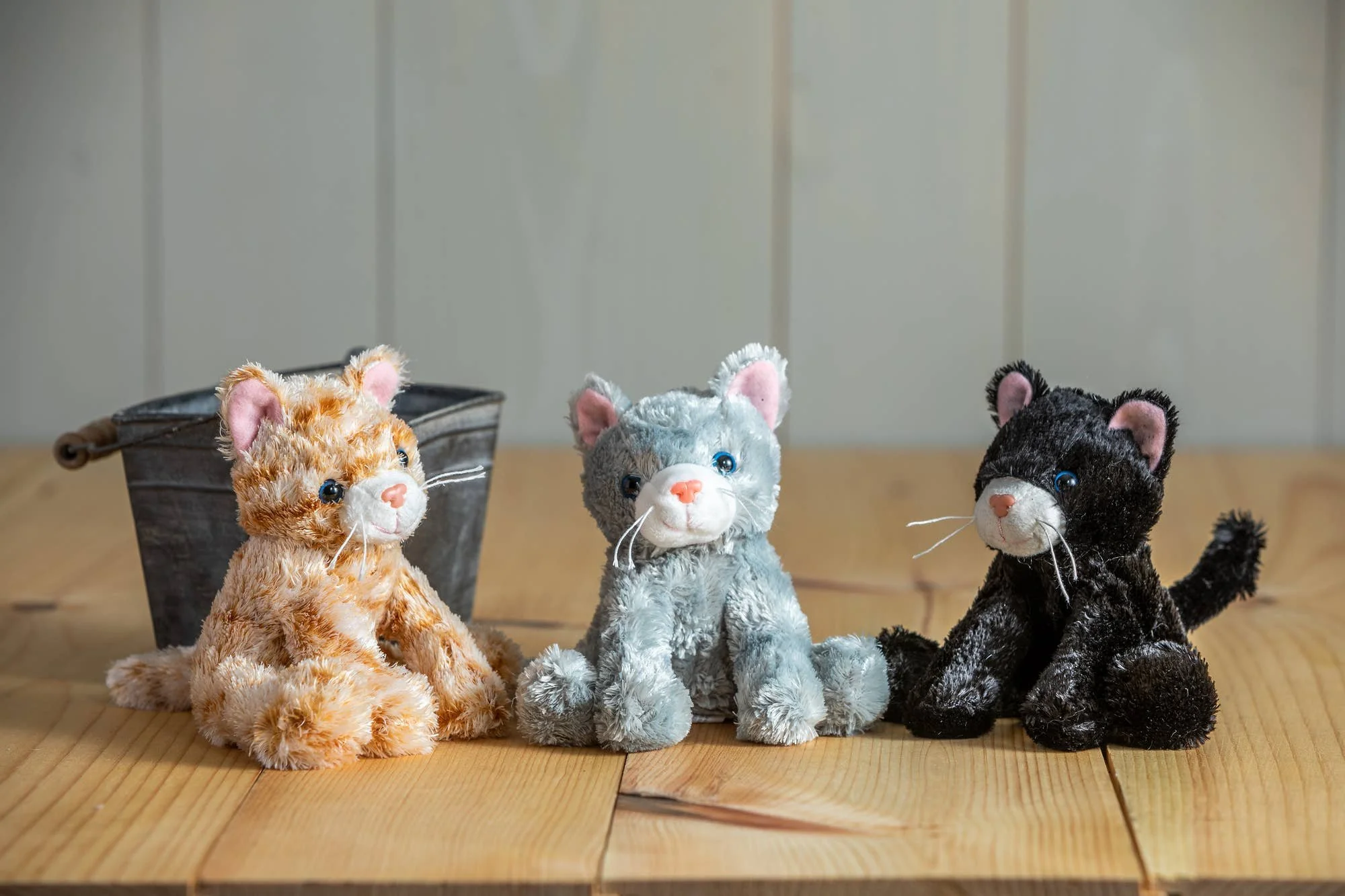 catsy-kitty-assortment-2.jpg