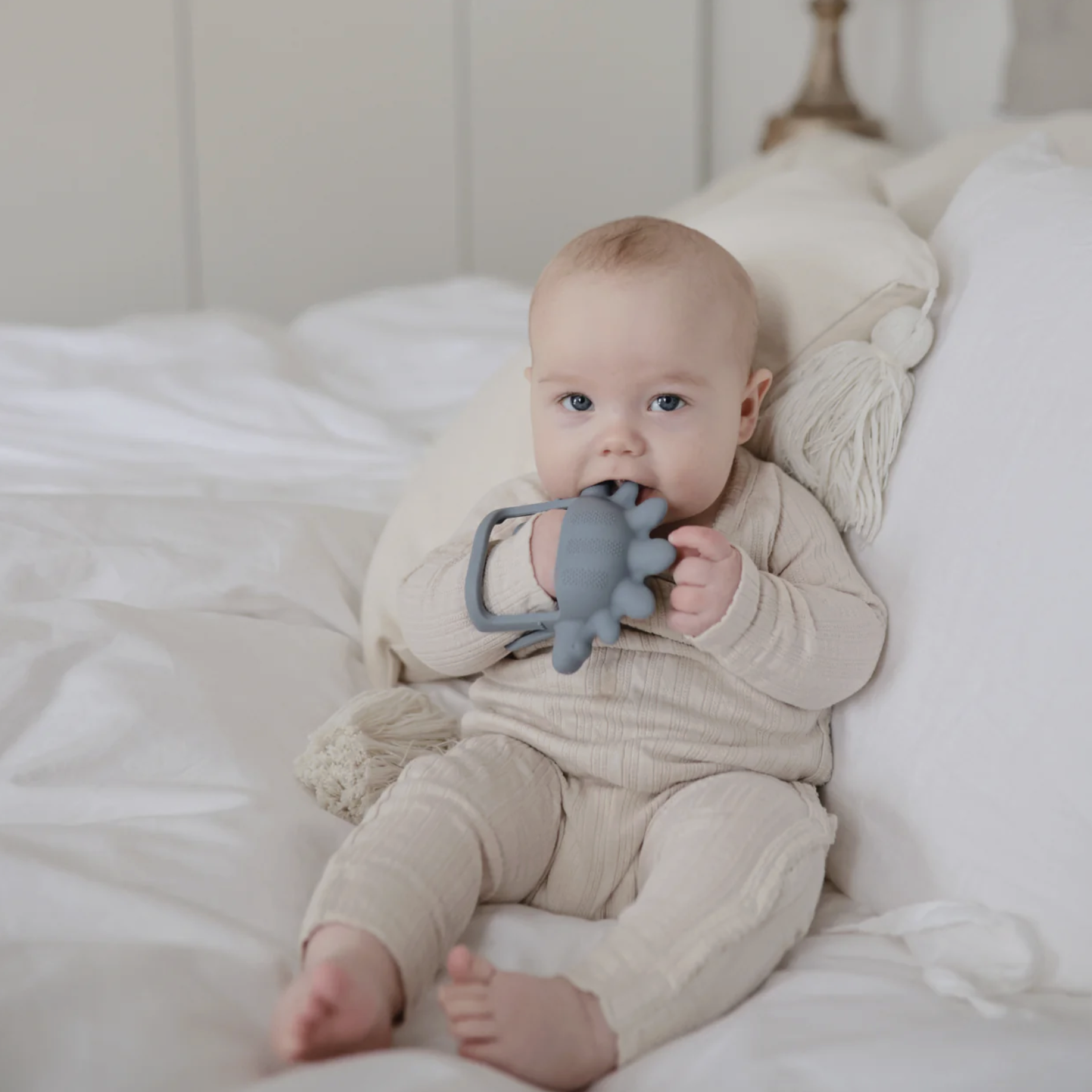 Screenshot 2026-02-11 at 2.52.48 PM.png