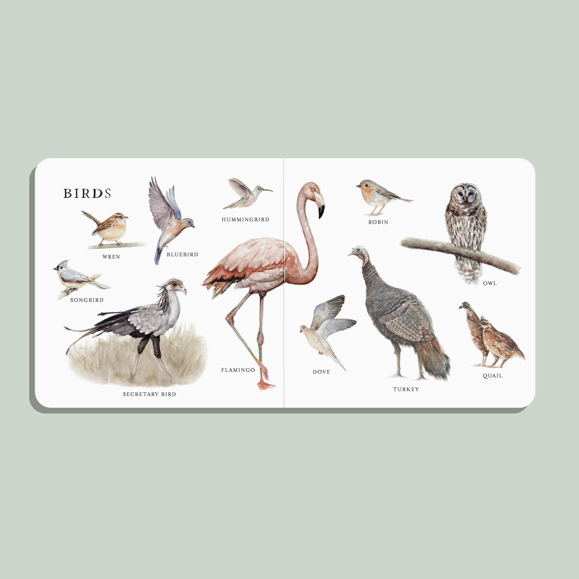 Screenshot 2026-03-25 at 10.46.01 AM.png