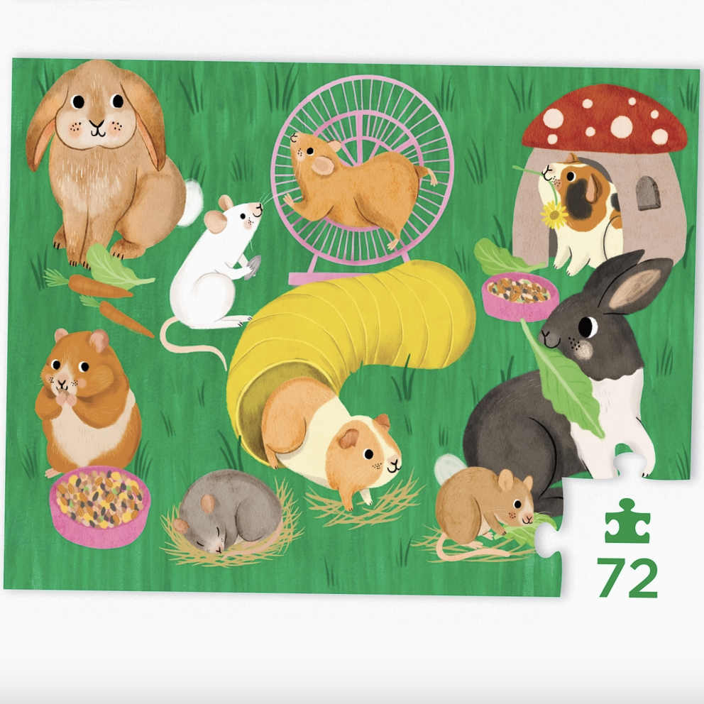 Screenshot 2026-02-04 at 12.31.27 PM.png