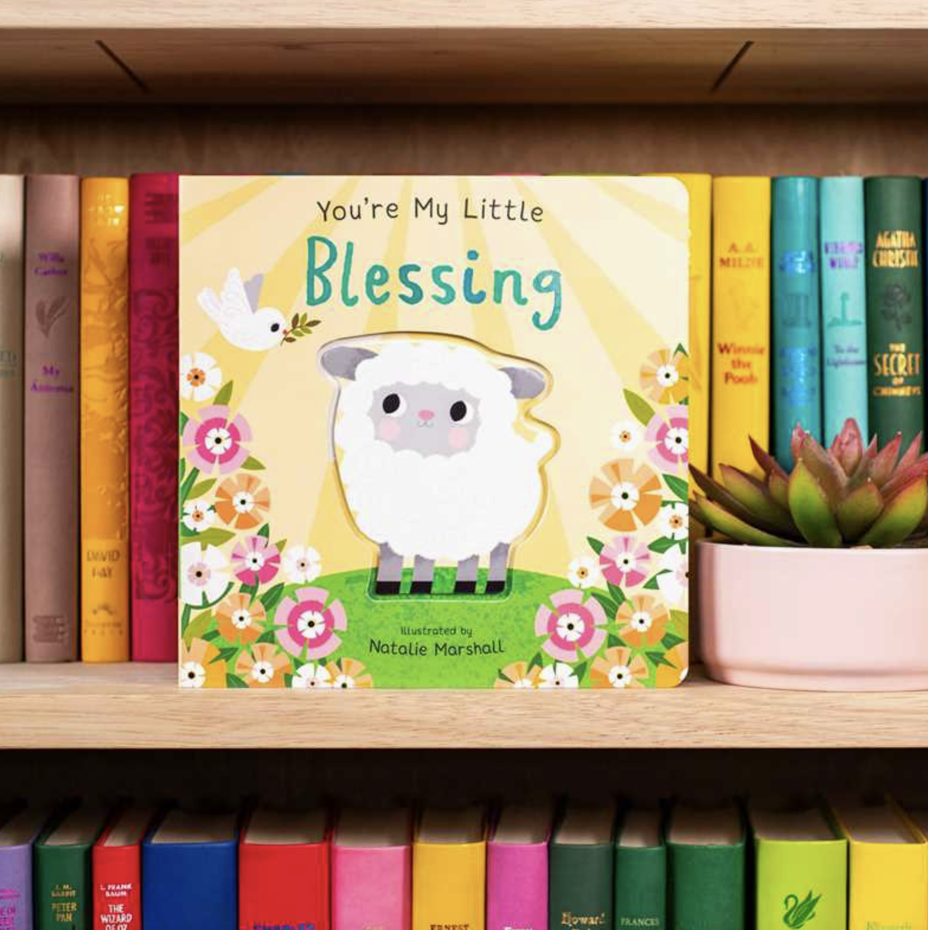 Screenshot 2026-03-09 at 10.57.44 AM.png