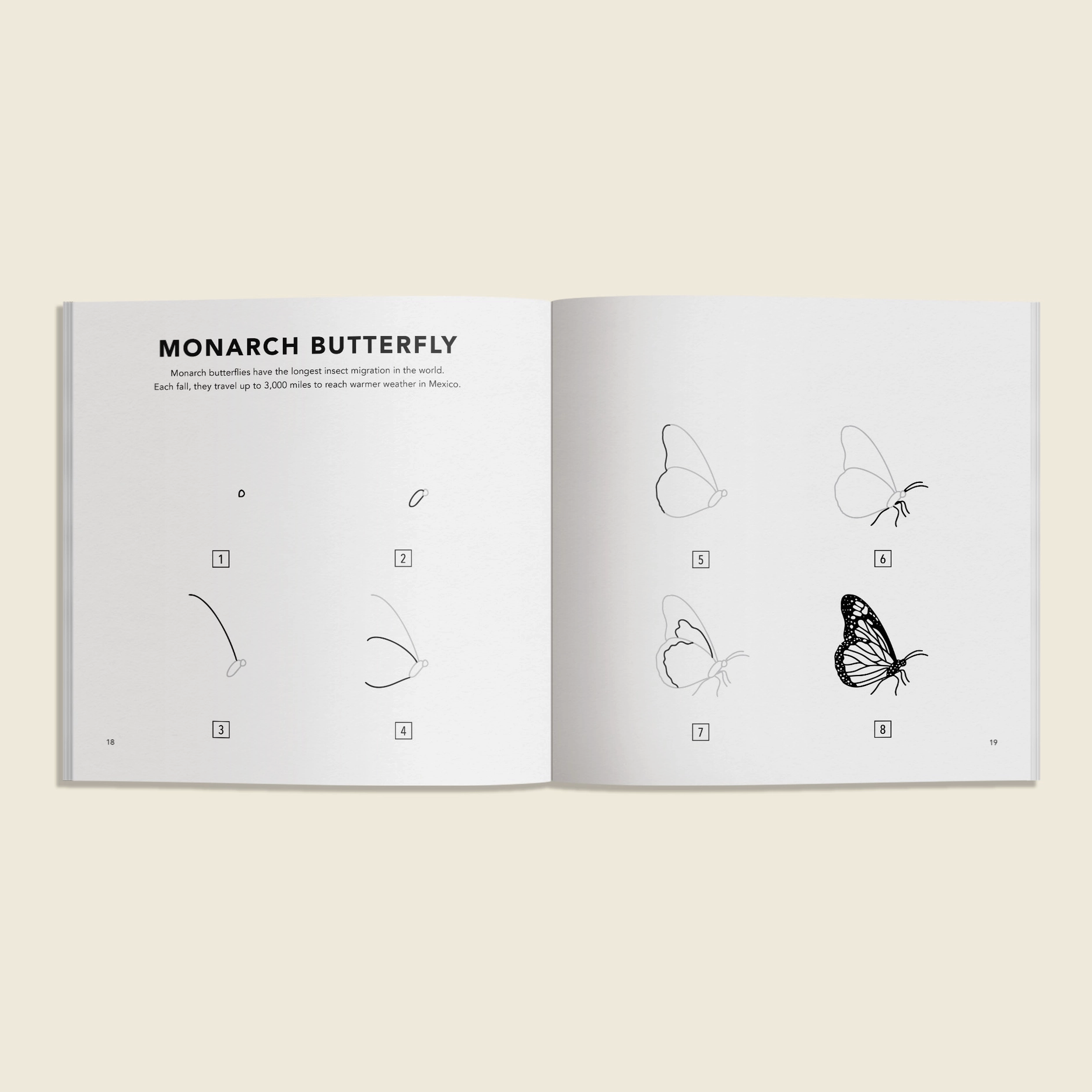 Screenshot 2026-02-04 at 11.33.35 AM.png