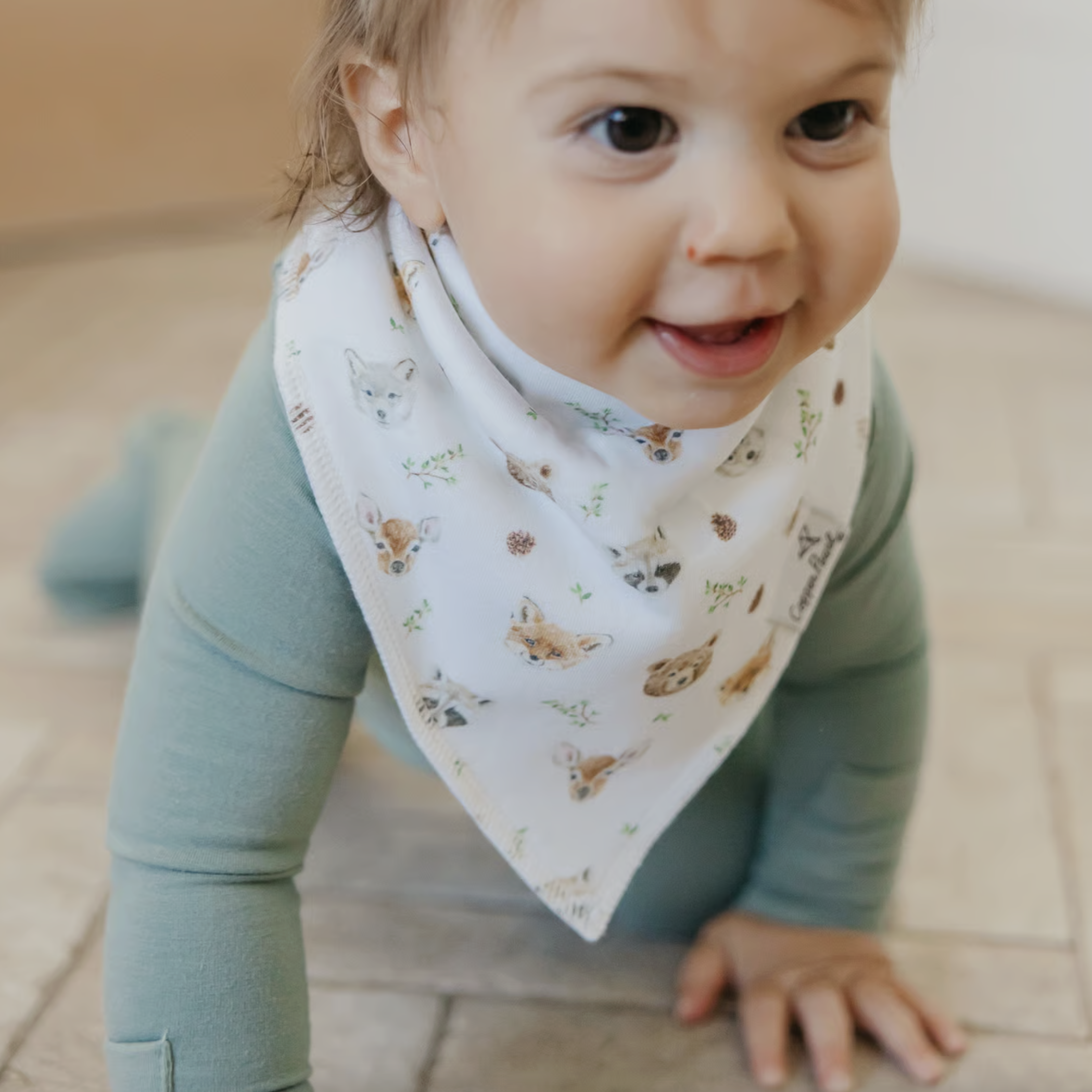 Screenshot 2025-12-16 at 11.14.27 AM.png