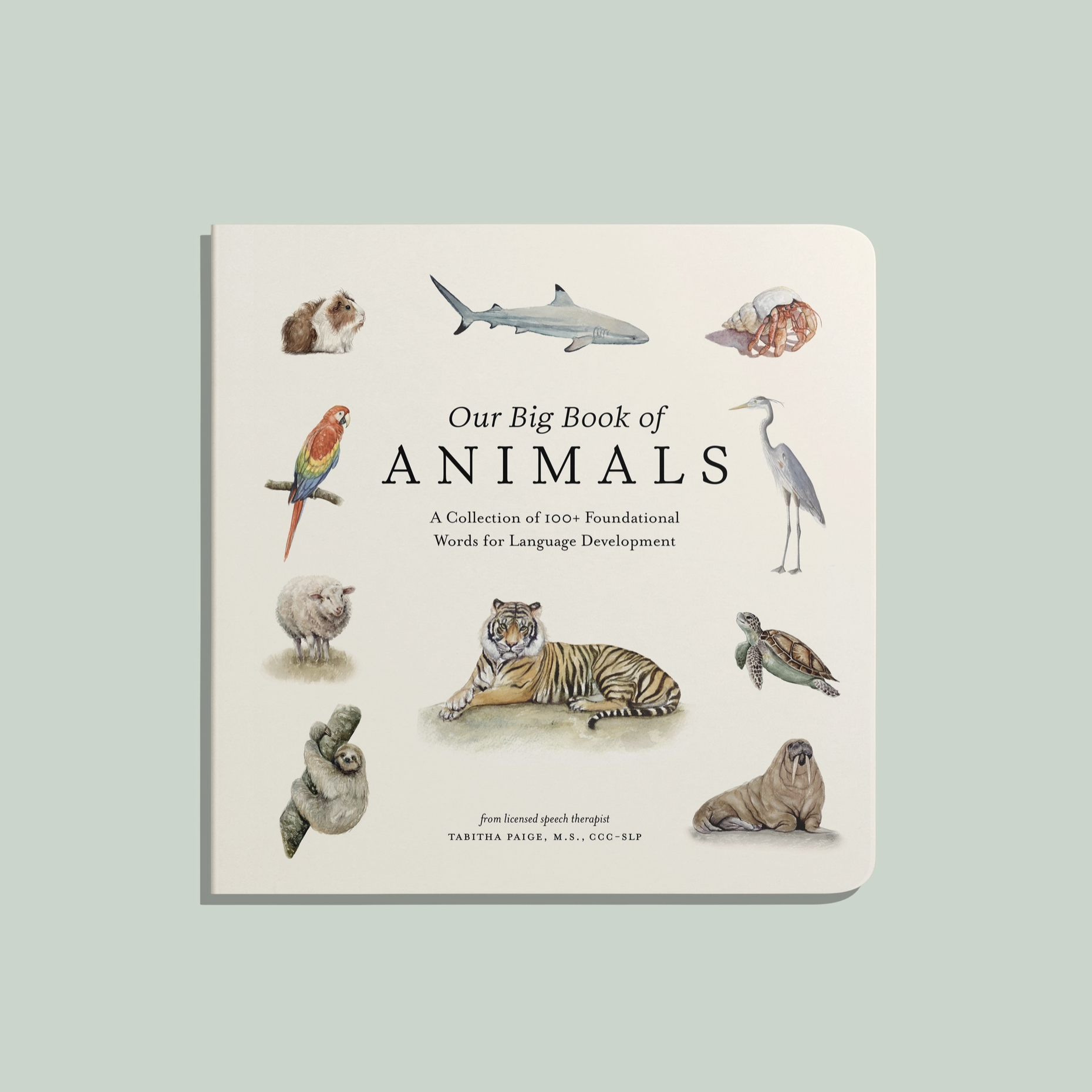 Screenshot 2026-03-25 at 10.45.38 AM.png