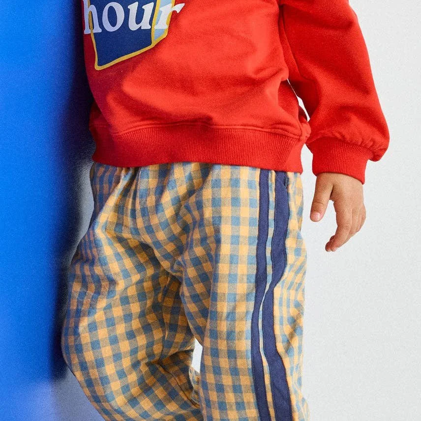 gingham-stripe-pant-blue-orange-3.jpg