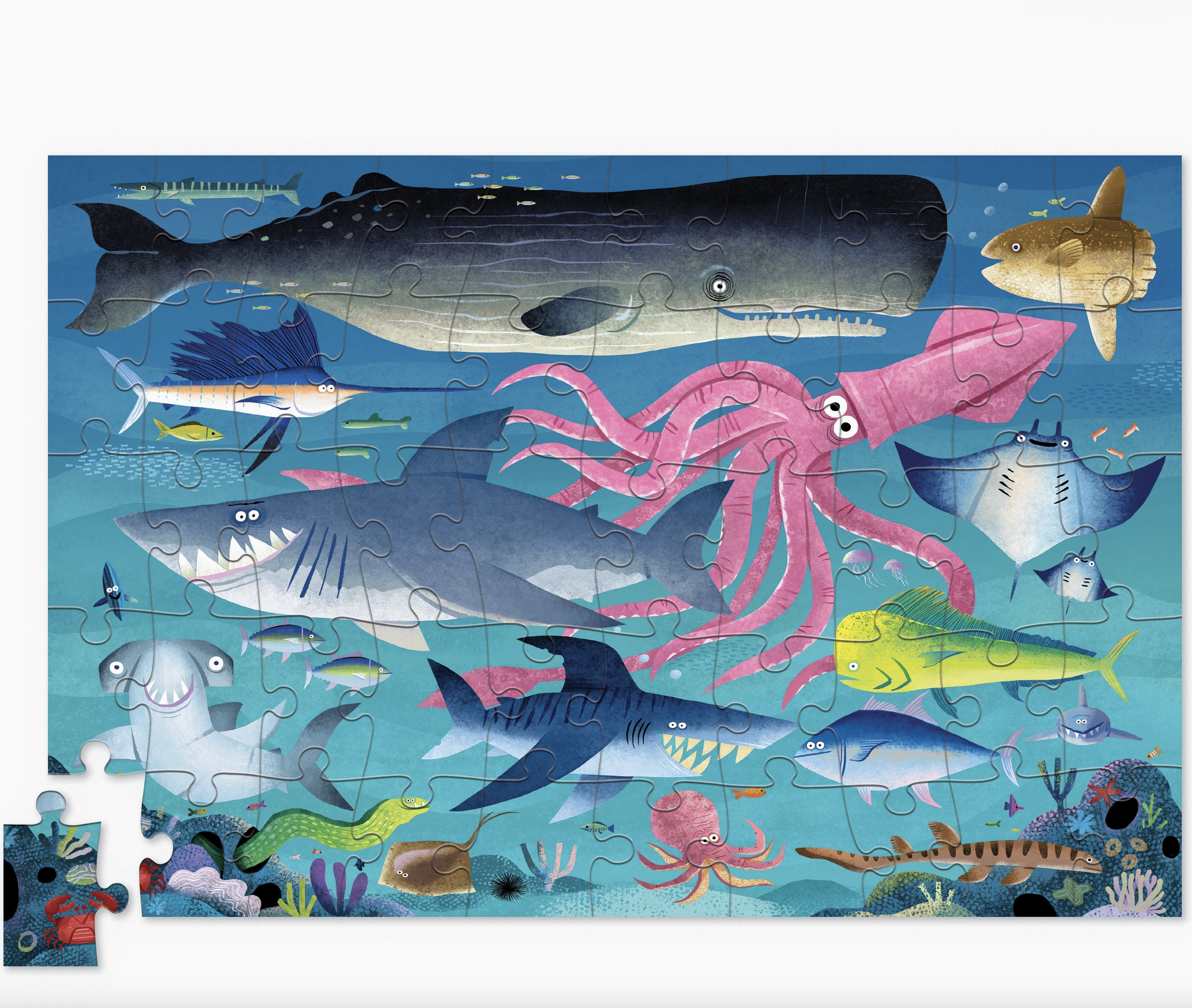 Screenshot 2026-02-04 at 1.12.44 PM.png