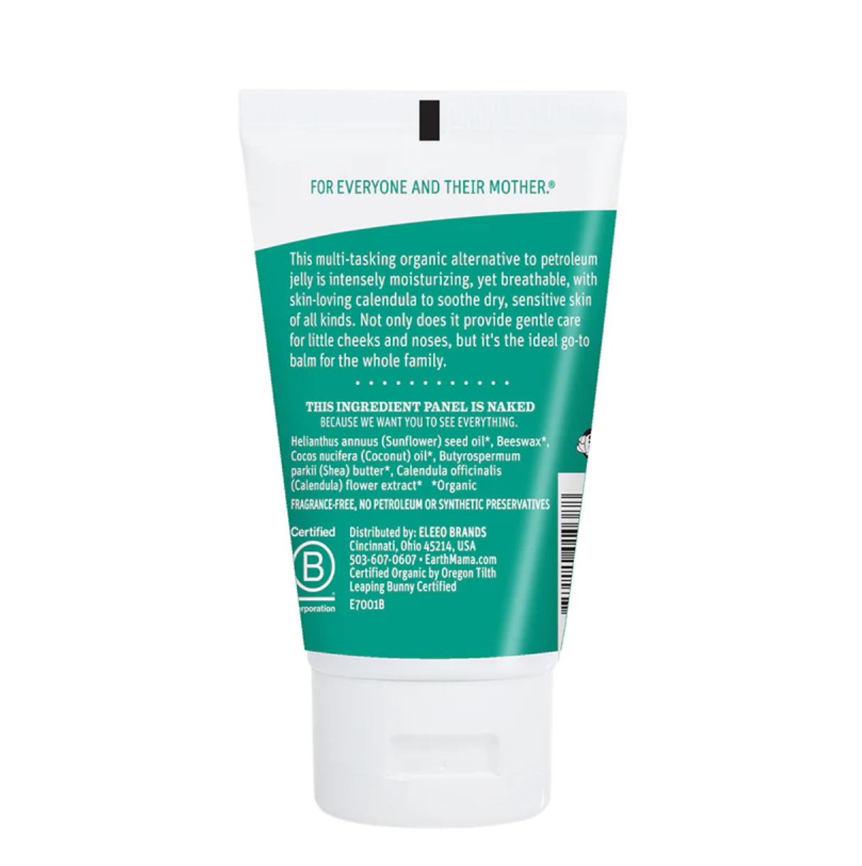 Screenshot 2026-02-12 152746.png