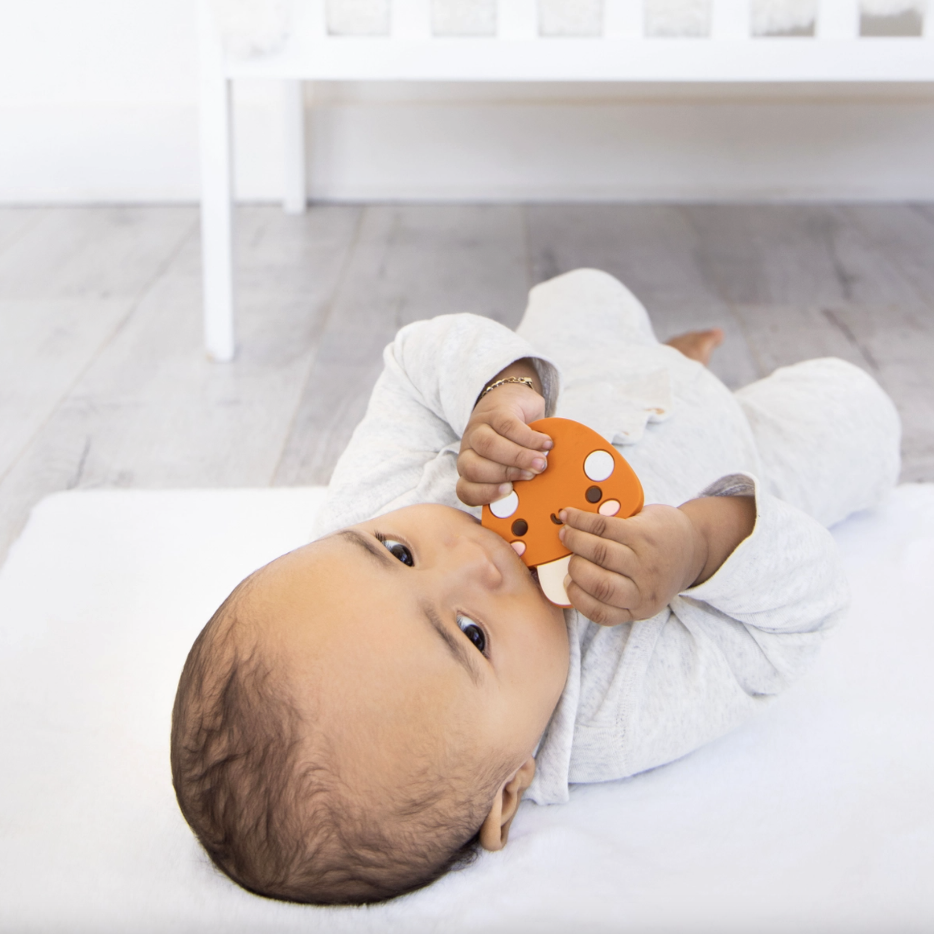 Screenshot 2026-02-11 at 2.17.46 PM.png