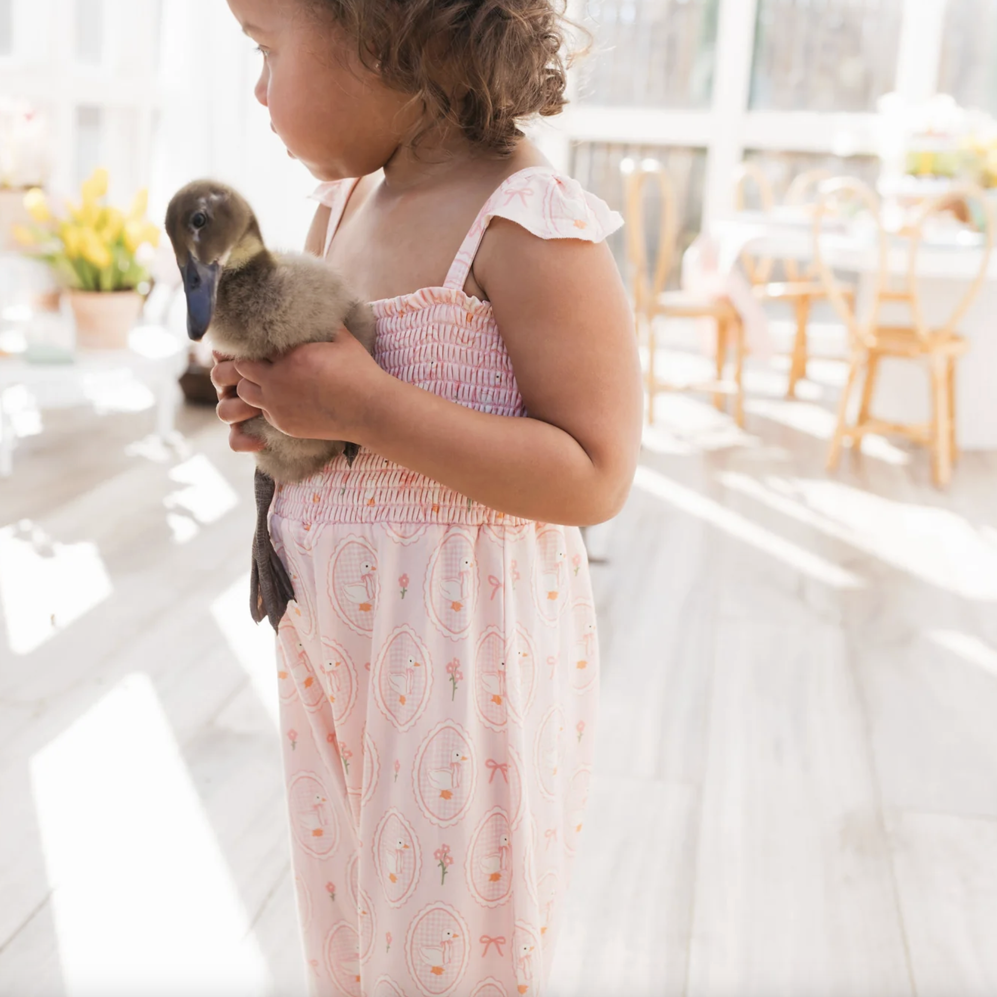 Screenshot 2026-02-27 at 12.37.35 PM.png