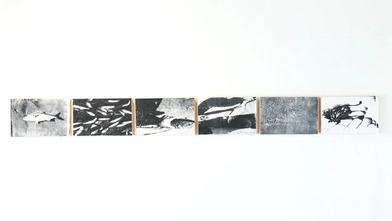 Tales of the Fish 
Screenprint on wood
10 5/8 × 16 13/16 × 2 3/16 in