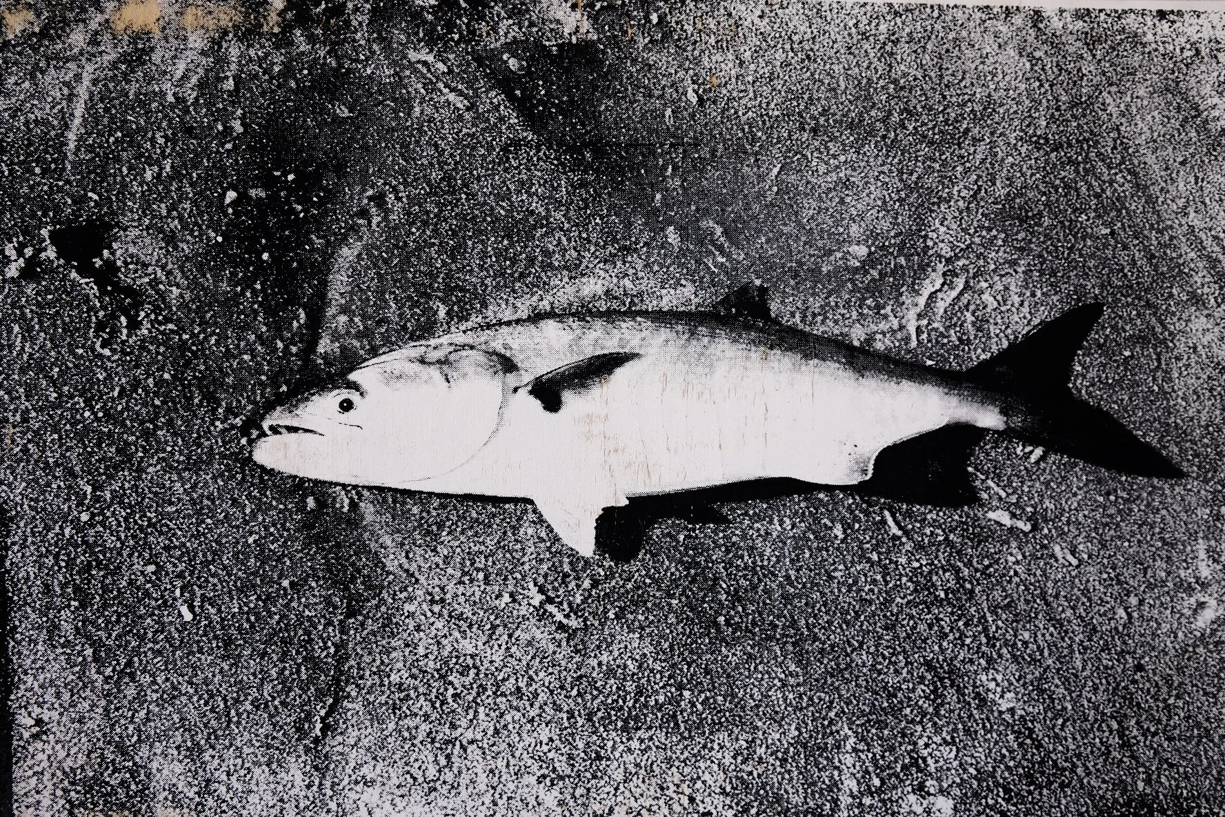 Tales of the Fish 
Screenprint on wood
10 5/8 × 16 13/16 × 2 3/16 in