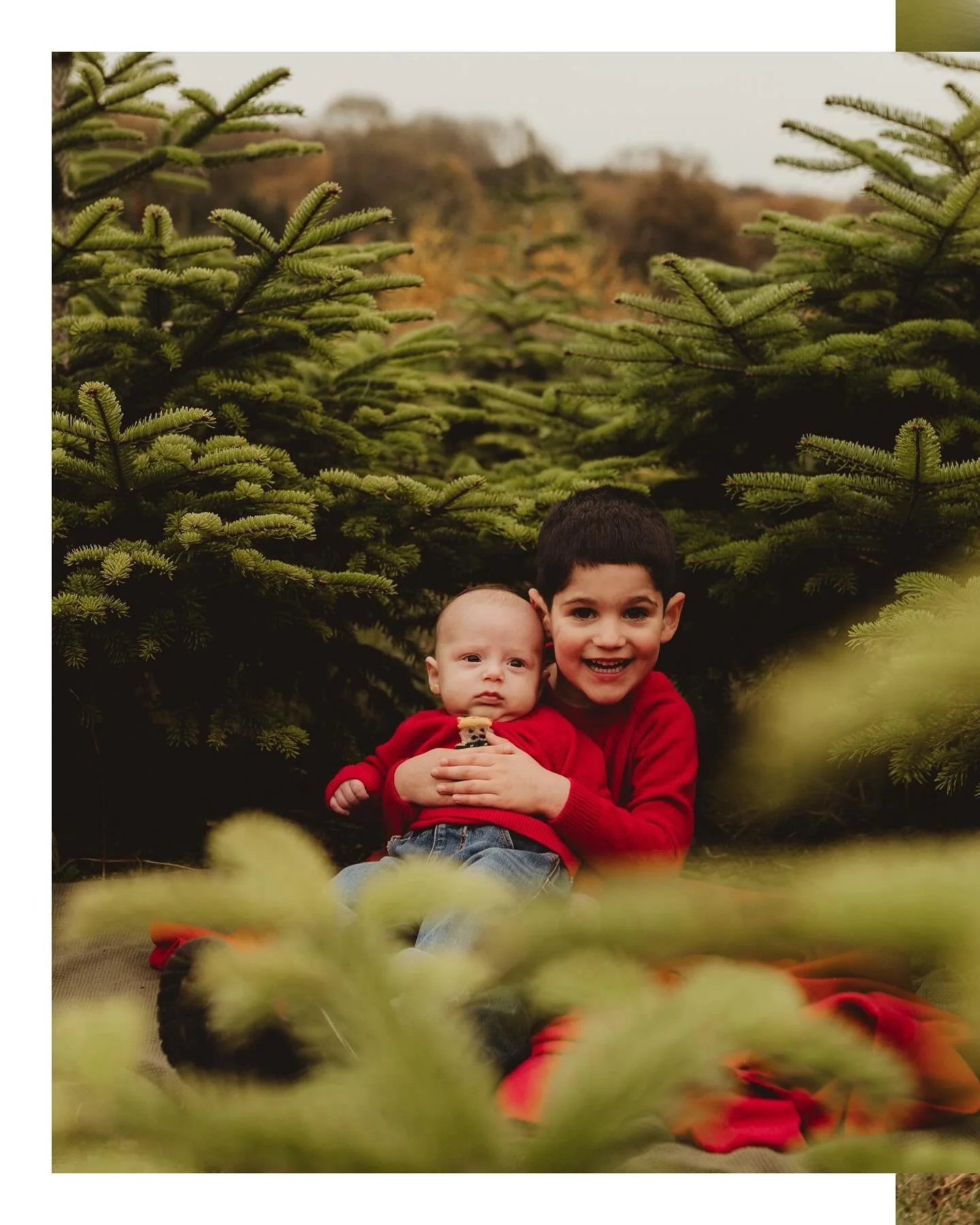 Adventure your way through life 🤍 #christmastreefarm #christmasminisession #photoshoot