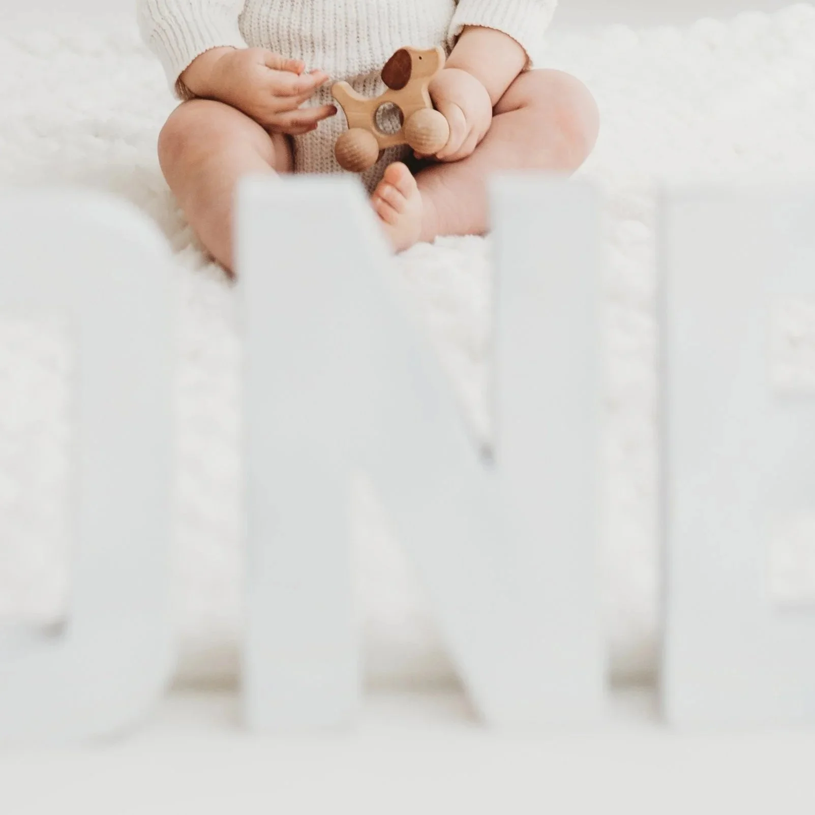 Child sitting on white fluffy surface holding a wooden toy dog, with a white 'ONE' in the foreground.