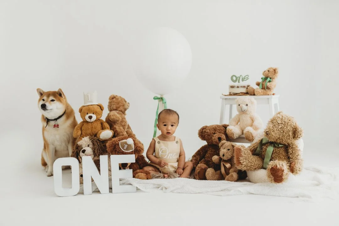 Baby sitting on white blanket surrounded by teddy bears, a white dog, a large balloon, and decorative 'One' signs for a first birthday celebration.