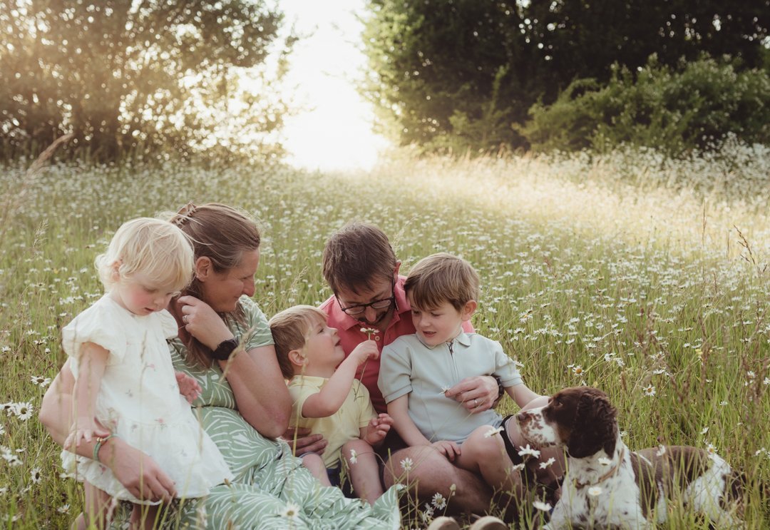 A family of 6 outdoors in a daisy meadow at sunset having a photoshoot in Saffron Walden Essex.