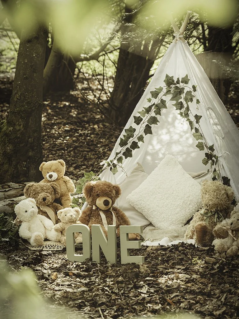 Teddy Bears Picnic Woodland Cake Xmas in Essex