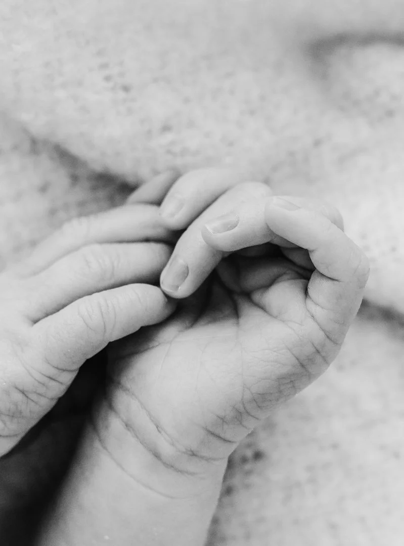 newborn-Jodie-Wilson-photography-26.jpg