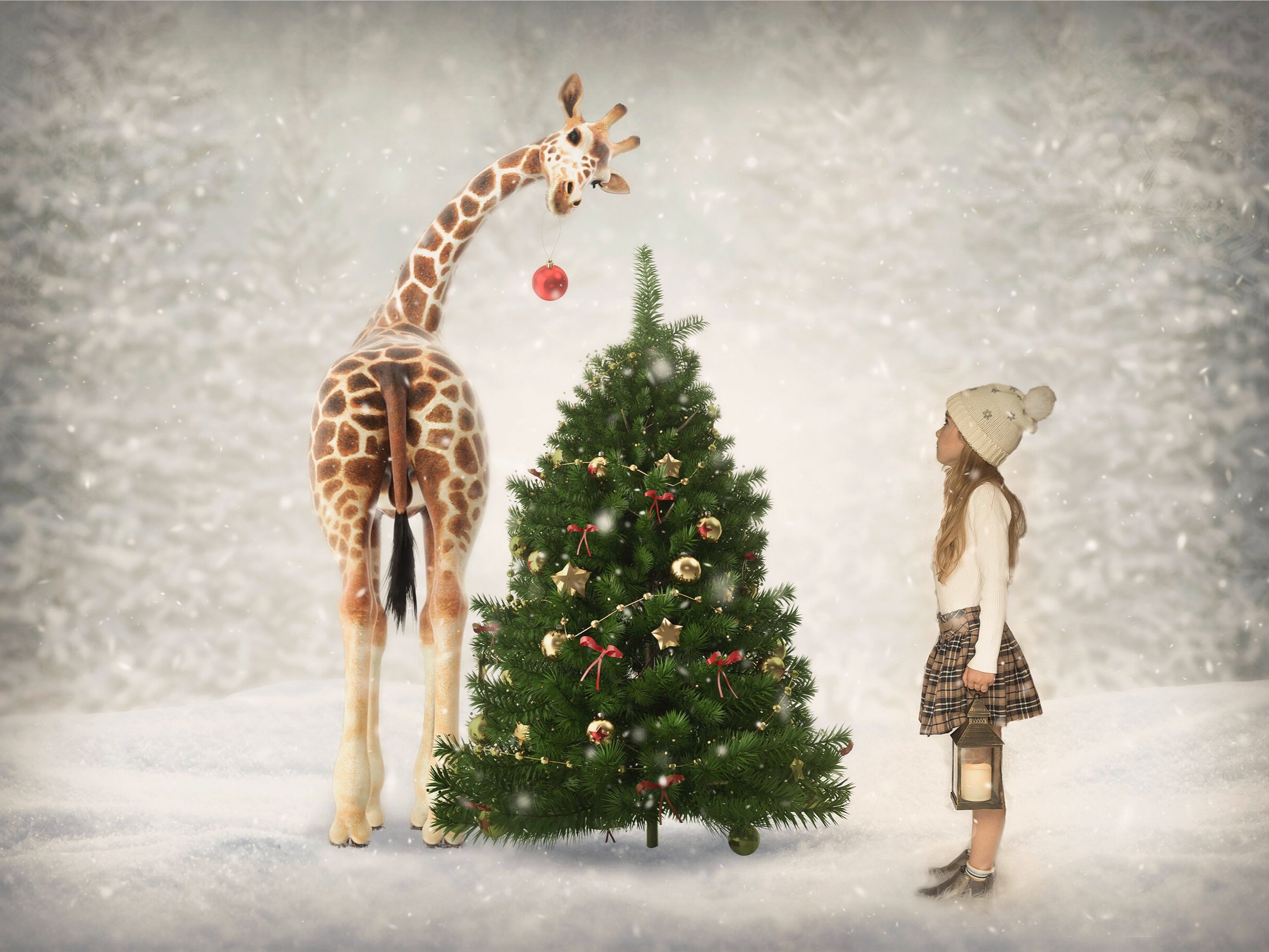 Christmas Giraffe