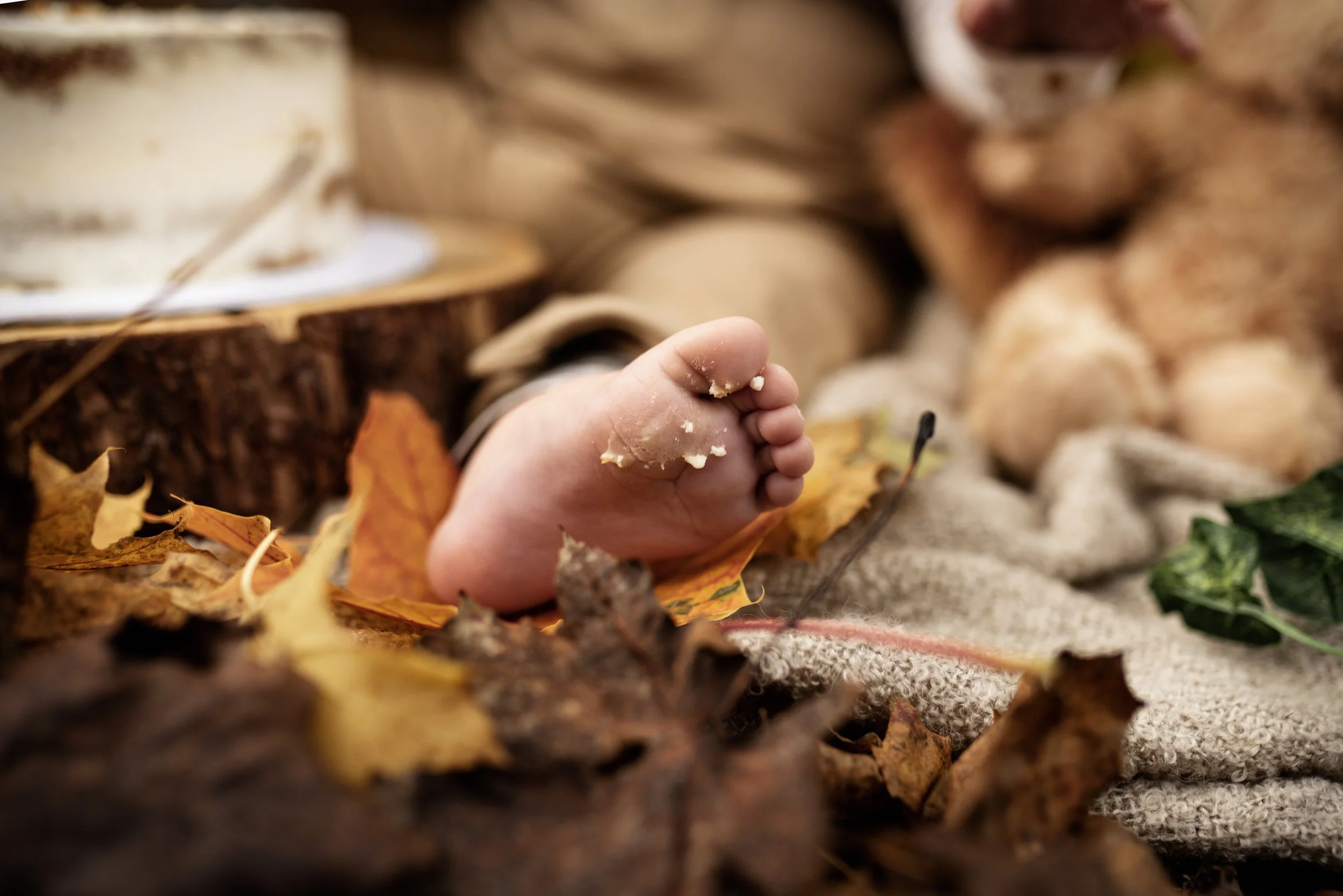 birthday cake smash in the Essex countryside. 1st Birthday cakesmash