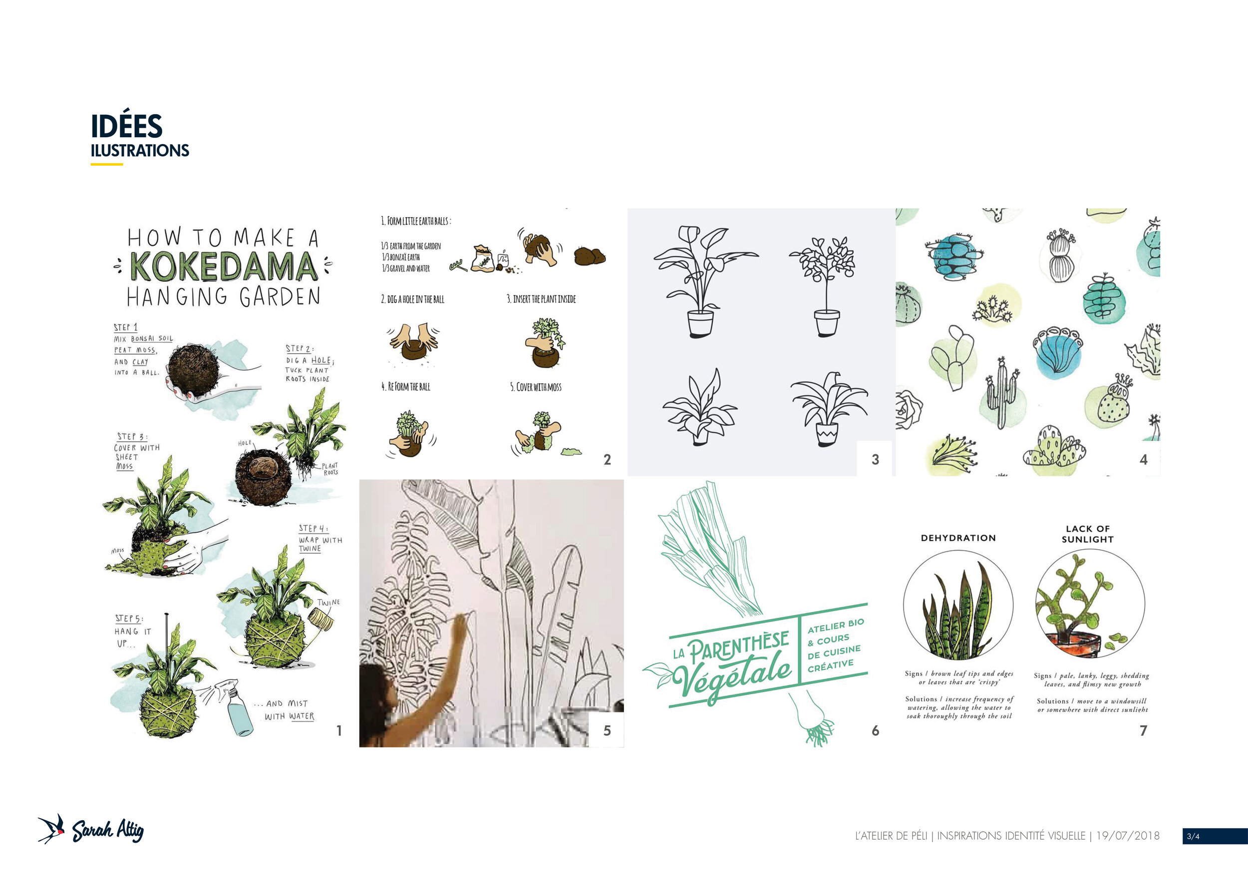 Inspiration d'illustrations de plantes