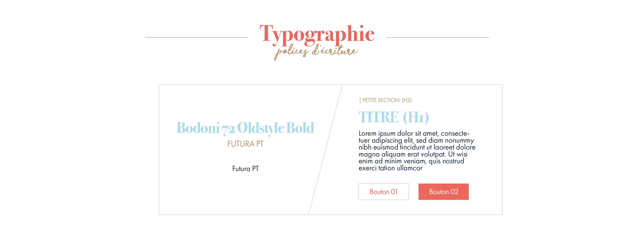 Clothness le choix de la typographie