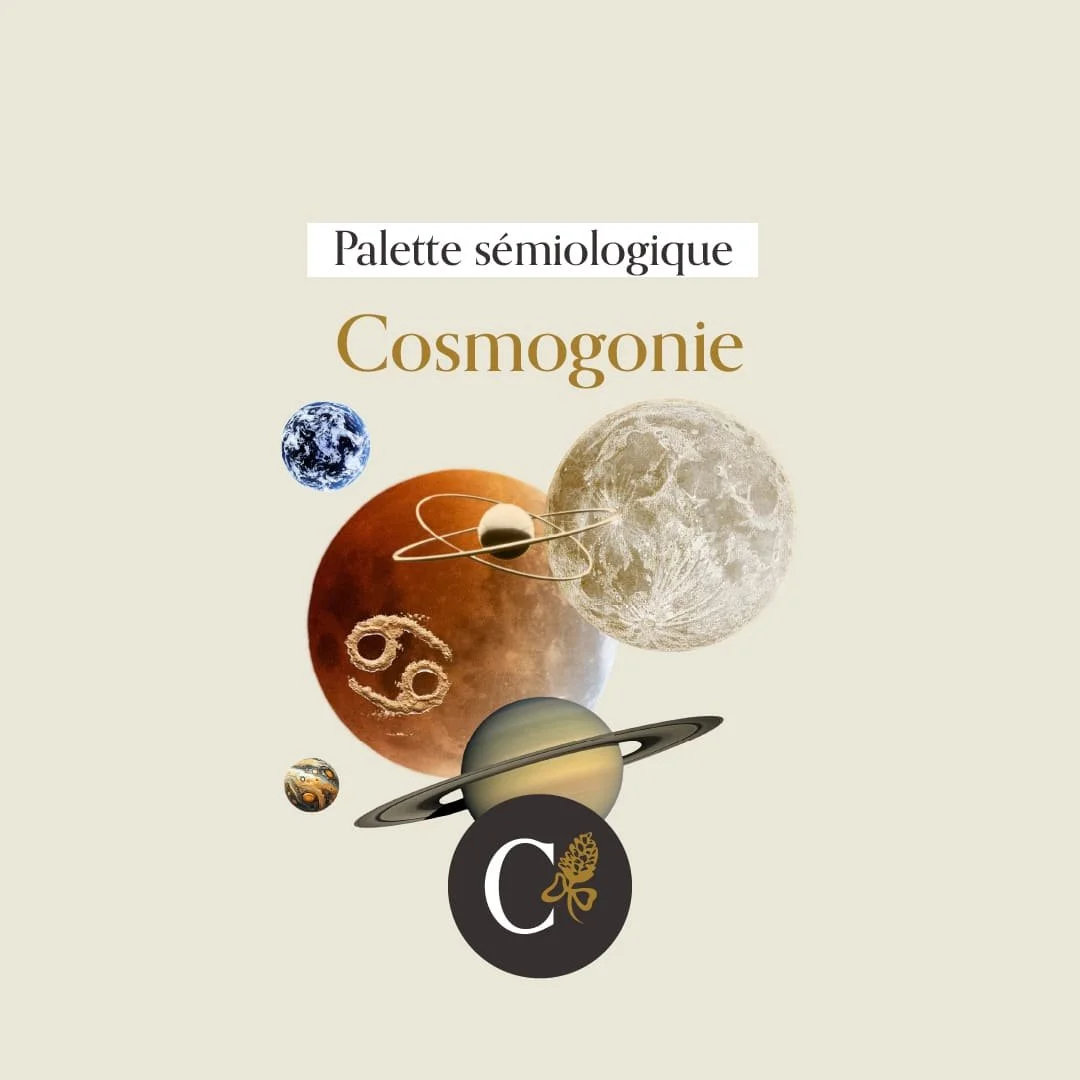 callianthus_reseaux-points-dappuis_cosmogonie_carre.jpg