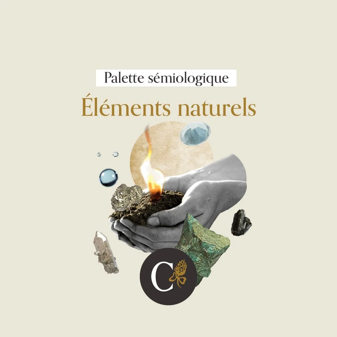 callianthus_reseaux-points-dappuis_elements-naturels_carre.jpg