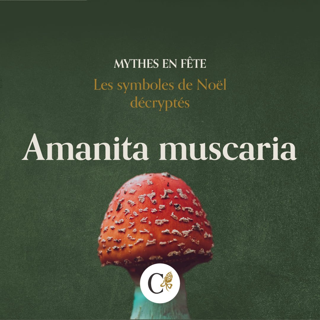 callianthus_1_mythes-en-fete_noel_amanita.jpg