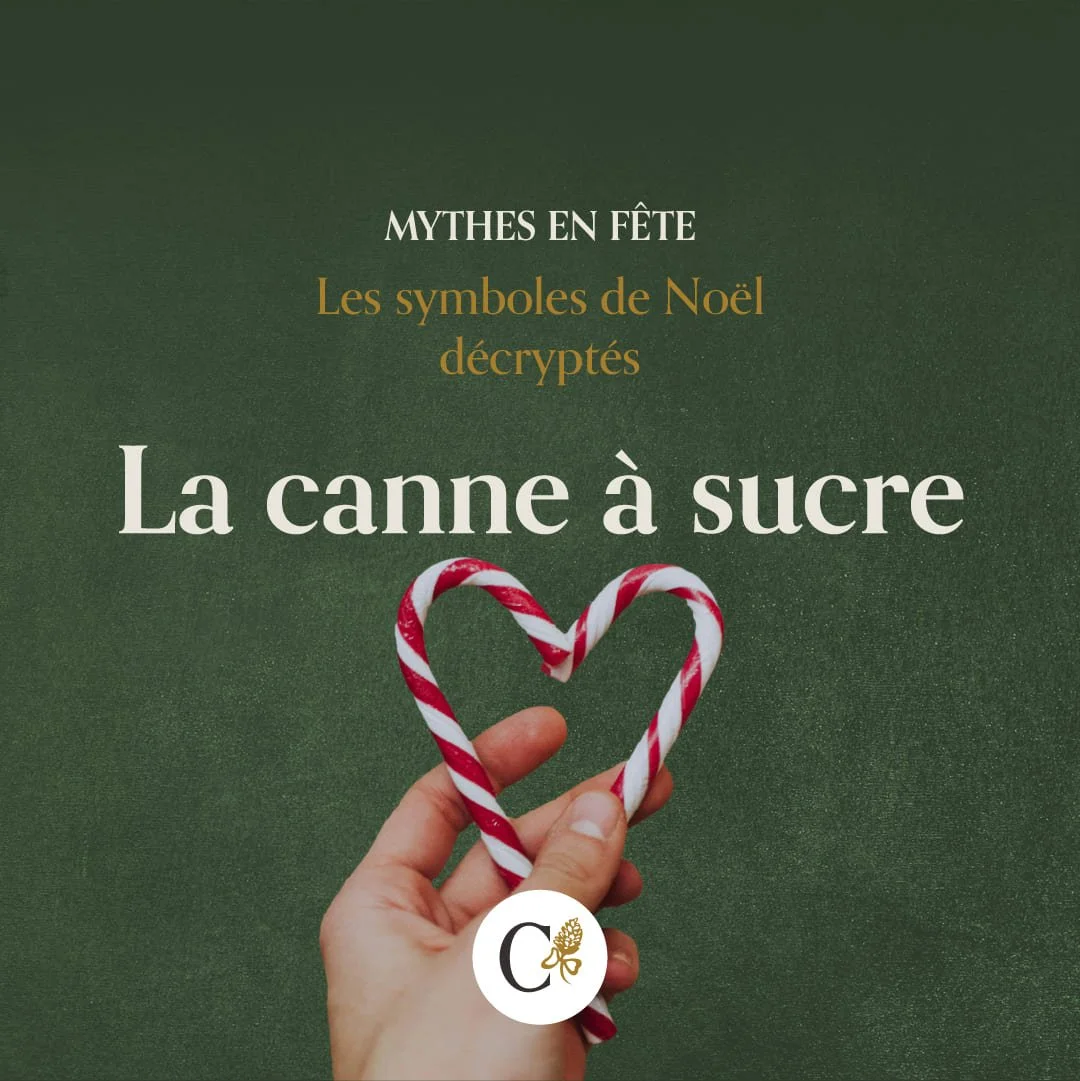 callianthus_1_mythes-en-fete_noel_canne.jpg