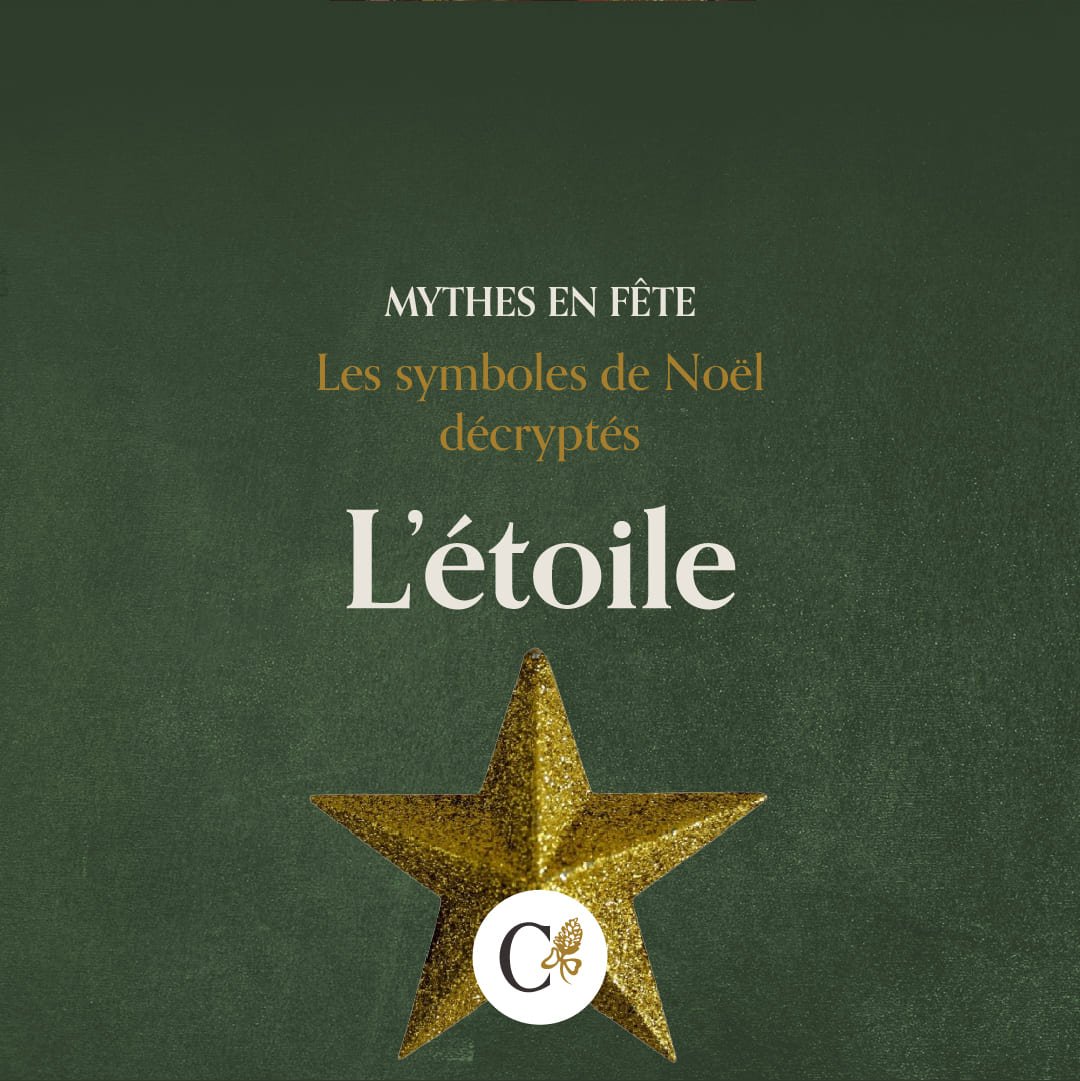callianthus_1_mythes-en-fete_noel_etoile.jpg