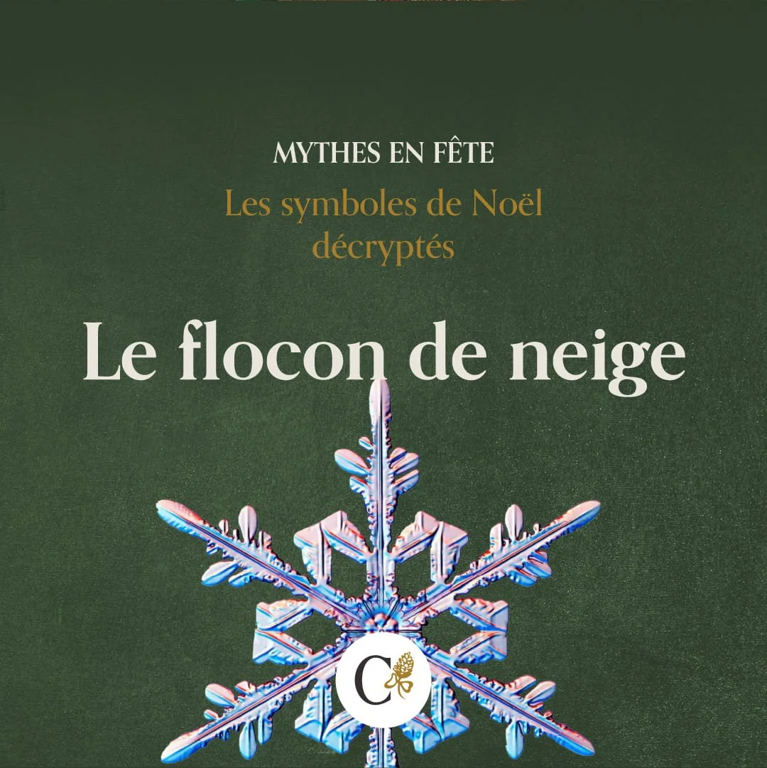 callianthus_1_mythes-en-fete_noel_flocon.jpg