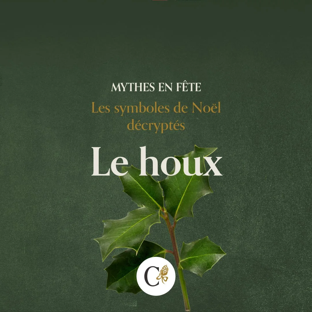 callianthus_1_mythes-en-fete_noel_houx.jpg