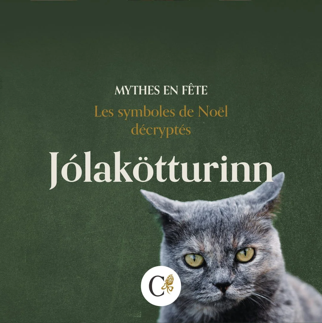 callianthus_1_mythes-en-fete_noel_jolakotturinn.jpg