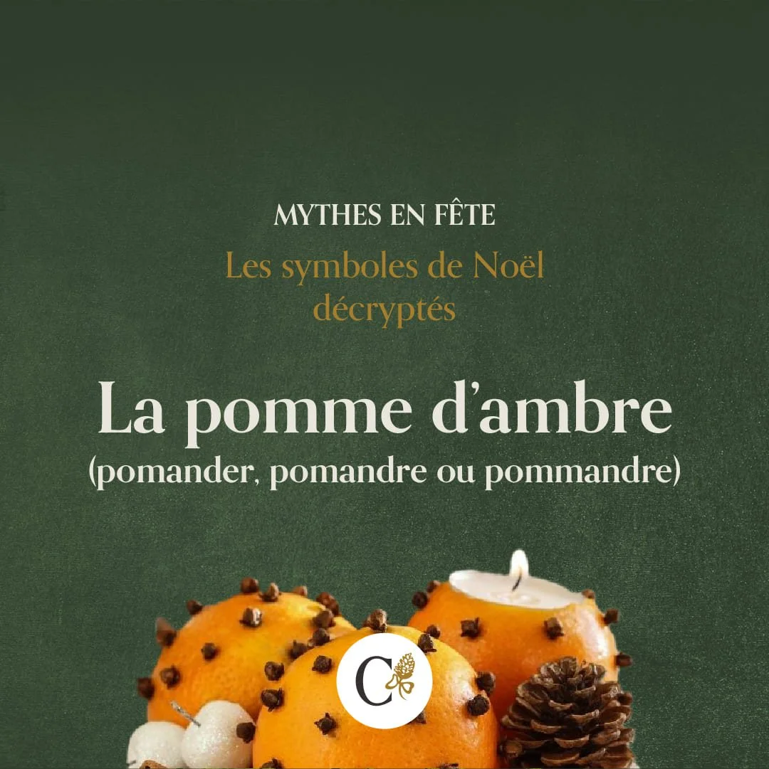 callianthus_1_mythes-en-fete_noel_pomander.jpg