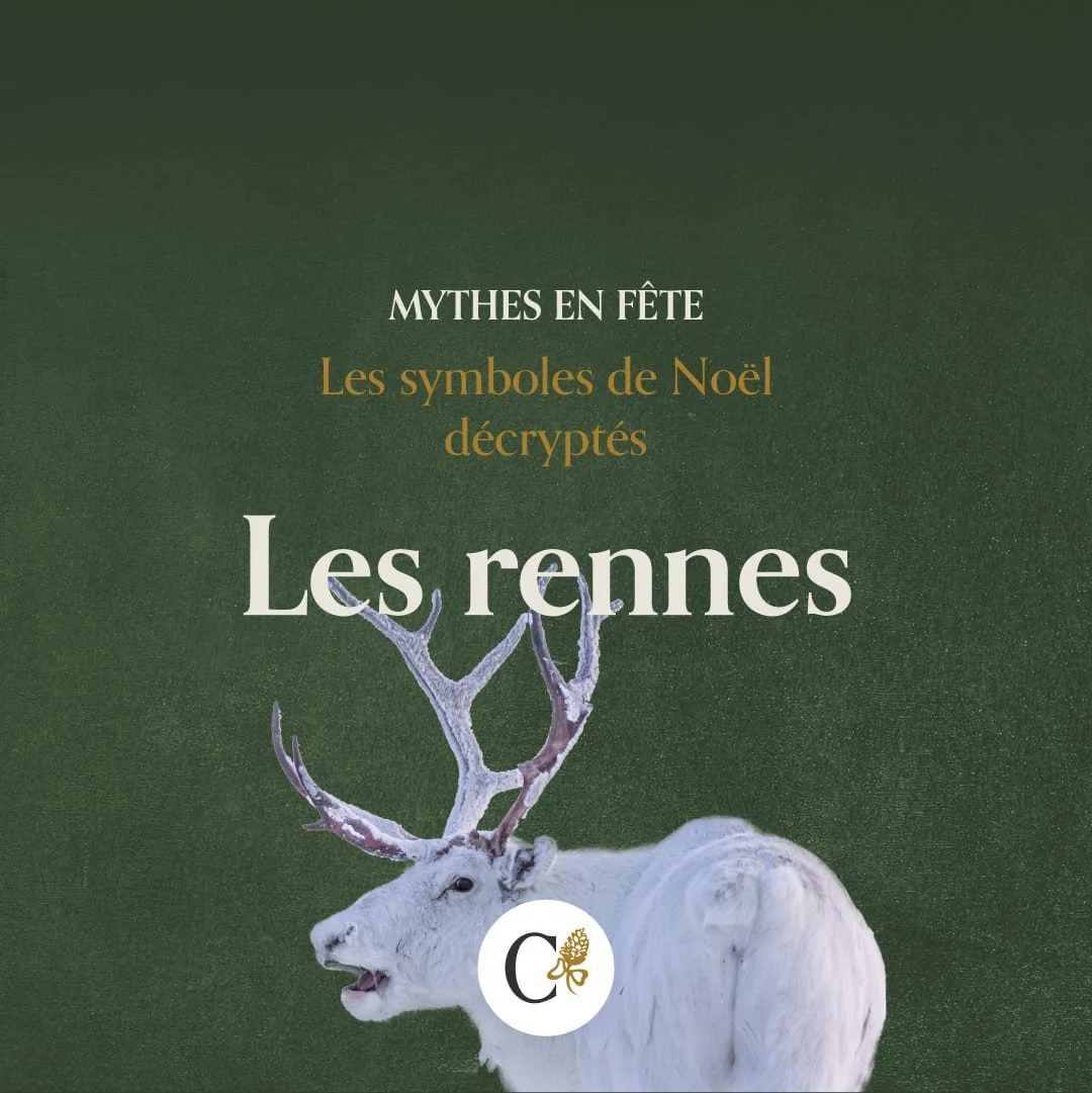 callianthus_1_mythes-en-fete_noel_rennes.jpg