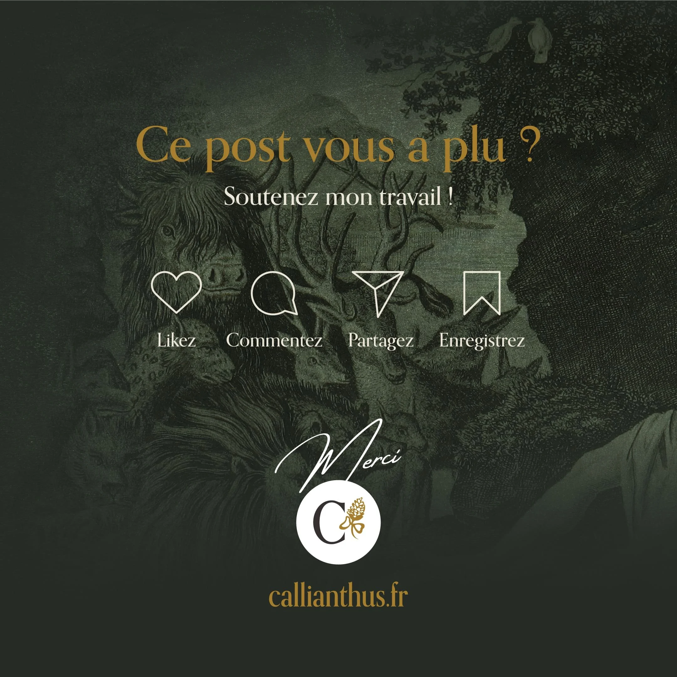 callianthus_fin_3_ce-post-vous-a-plu.jpg