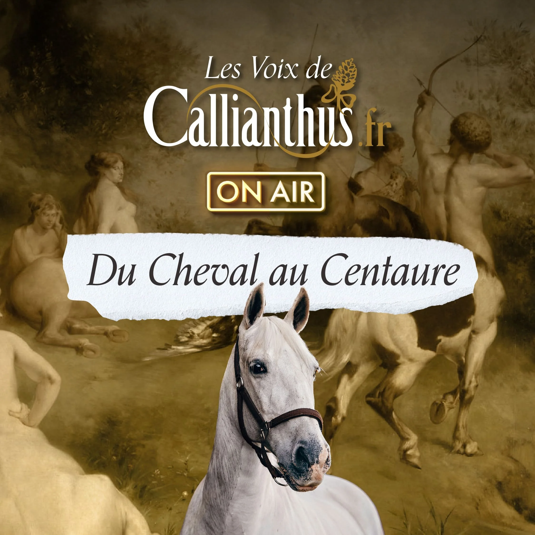cheval au centaure_post_carre.jpg