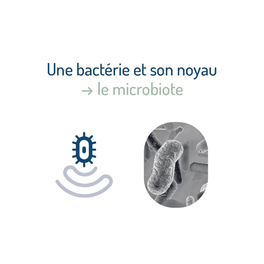 ma-formation-microbiote_logo_05_symbole_bactérie.jpg