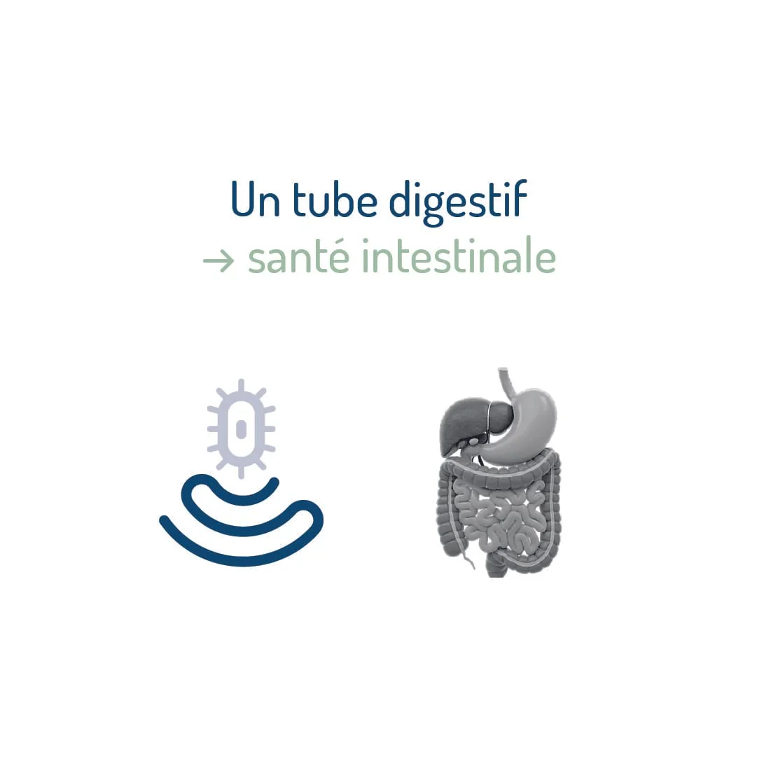 ma-formation-microbiote_logo_07_symbole_tube-digestif.jpg